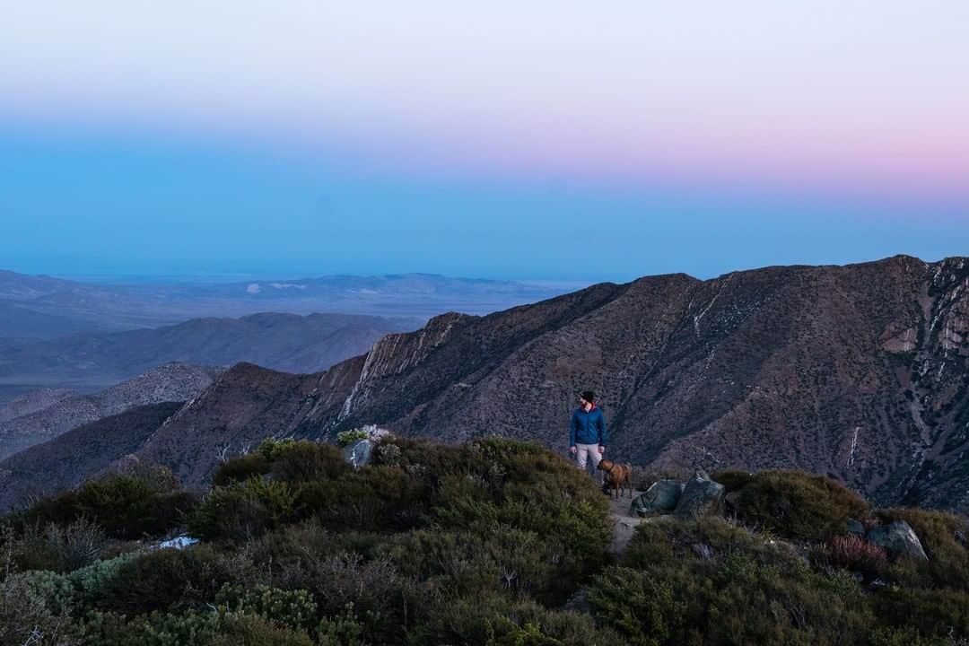 Sigma Corp Of America（シグマ）さんのインスタグラム写真 - (Sigma Corp Of America（シグマ）Instagram)「24mm is a focal length most photographers rely on for capturing expansive scenes without encountering distortion.  In the latest addition to the SIGMA Blog, night sky photographer @jackfusco takes a close look at the advantages of using the SIGMA 24mm F1.4 DG HSM  ART lens while exploring the Laguna Mountain range near San Diego, California.  ** Read about it on our blog (link in bio) for more! **  #SIGMA #sigmaphoto #photography #landscape #landscapephotography #nightsky #nightskyphotography #astrophotography #nature #naturephotography #sigma24mmart #sigma24mm #sigma24mm14art #primelens #primelenses #24mm #wideangle #wideanglelens #wideanglephotography #explore #hiking #lagunamountain #lagunamountains #sandiego #southerncalifornia #socal」2月2日 1時39分 - sigmaphoto