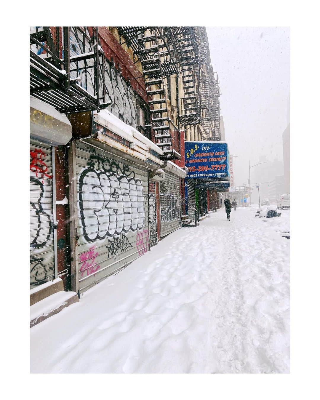 さんのインスタグラム写真 - (Instagram)「Cue every New Yorkers eye roll ⛄️」2月2日 1時49分 - auroraperrineau