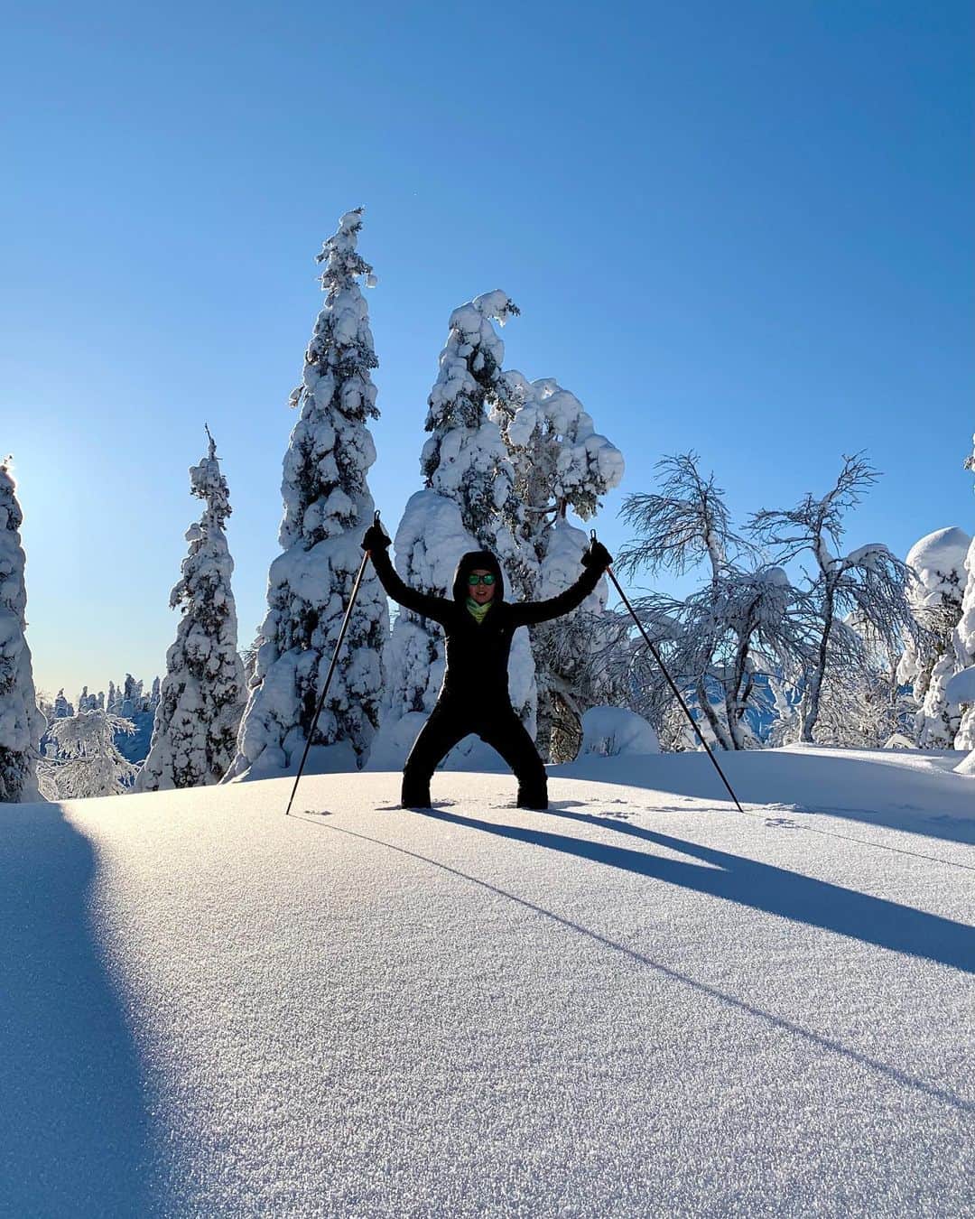ラウラ・レピストのインスタグラム：「Kaupallinen yhteistyö @puhdistamo - vinkki Talvialesta!❄️💯 Vaikka ihanin kevätaurinko alkaakin jo (ihan selvästi!) pilkottelemaan ja tää tammikuun lumimäärä on tuntunut nostavan tänä talvena energiatasoja❄️🤍, niin täällä ainakin tankkaillaan vielä D-vitskuja talven tapaan. . Lisäksi pitkäaikaisina luottotuotteina vastustuskyvyn buustaamiseen oon käyttänyt talvella sinkkiä, c-vitamiinia ja kuureittain välillä maitohappobakteereja. Ainakin flunssat ja epämääräiset nuhat ovat pysyneet visusti poissa, joka on tuonut mielenrauhaa pandemian aikaan.🙏🏼 Puhdistamon tuotteista myös viherjauheet, sekä luomu neitsytkookos- ja oliiviöljyt kuuluvat säännöllisesti mulla arjen ruokavalioon. . Viikon vinkkivitosena: Puhdistamon Talvialessa on nyt tän viikon yli 100 tuotetta -20-63% alennuksilla! Iso suositus hankkia laadukkaat luottotuotteet verkkokaupasta kevääseen. Pidetään vastustuskyvystämme huolta! P.s. Swaippaa killerikomboon👉🏼💯 #puhdistamo #kaupallinenyhteistyö #talviale #alennus #vastustuskyky #hyvinvointi #jaksaminen #vitamiinit #ravintolisät #superfoods」