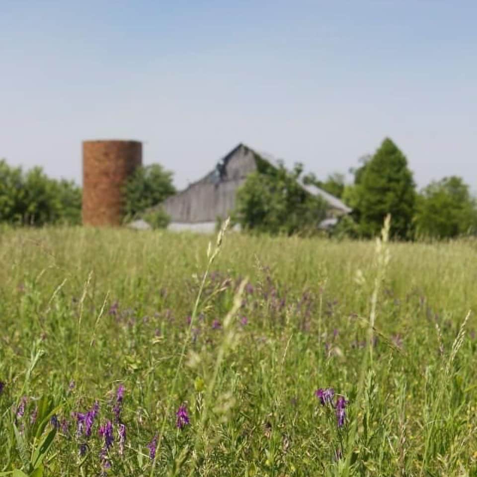 FOLKのインスタグラム：「I wish we as a society celebrated and elevated our small towns and rural communities more instead of turning them into stereotypes and punchlines or deserted wastelands as we teach our youth they must live in urban areas to find success in life. What if we instead invested in rehabilitating our rural areas and small towns and once again saw them as the backbone of our nation. In school we learn about the “brain drain” experienced by every single small town and rural area in America. The perceived idea that the best and brightest move away and the rural areas slip perpetually further and further behind. I am very much ranting, but I know there are a lot of people out there that agree with me. I moved away for a few years to the big city lights cause JayZ, Alicia Keys, and Taylor Swift said if you could make it there you could make it anywhere. The thing that I learned most is that I truly love small town America and am endlessly thankful to be back in my hometown. Not because it didn’t work out in the big city, but because I know that the rural parts are where people like us are needed.」