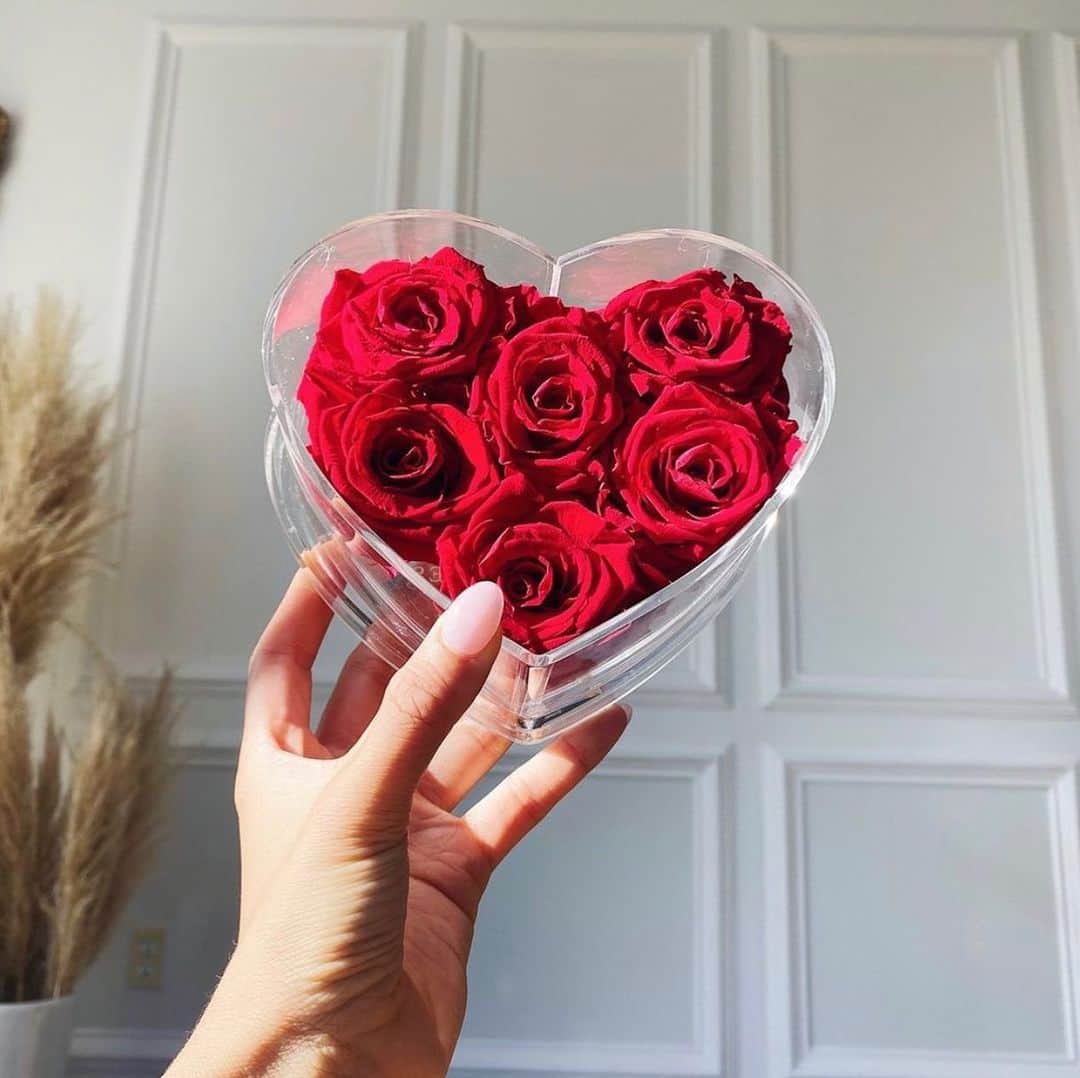 ドリームガールのインスタグラム：「Happy Monday babes! 🌹February is here, which means we are getting close to Valentine's Day!! Don't forget to enter our Valentine's giveaway ♥️ 📸: @doseofroses」