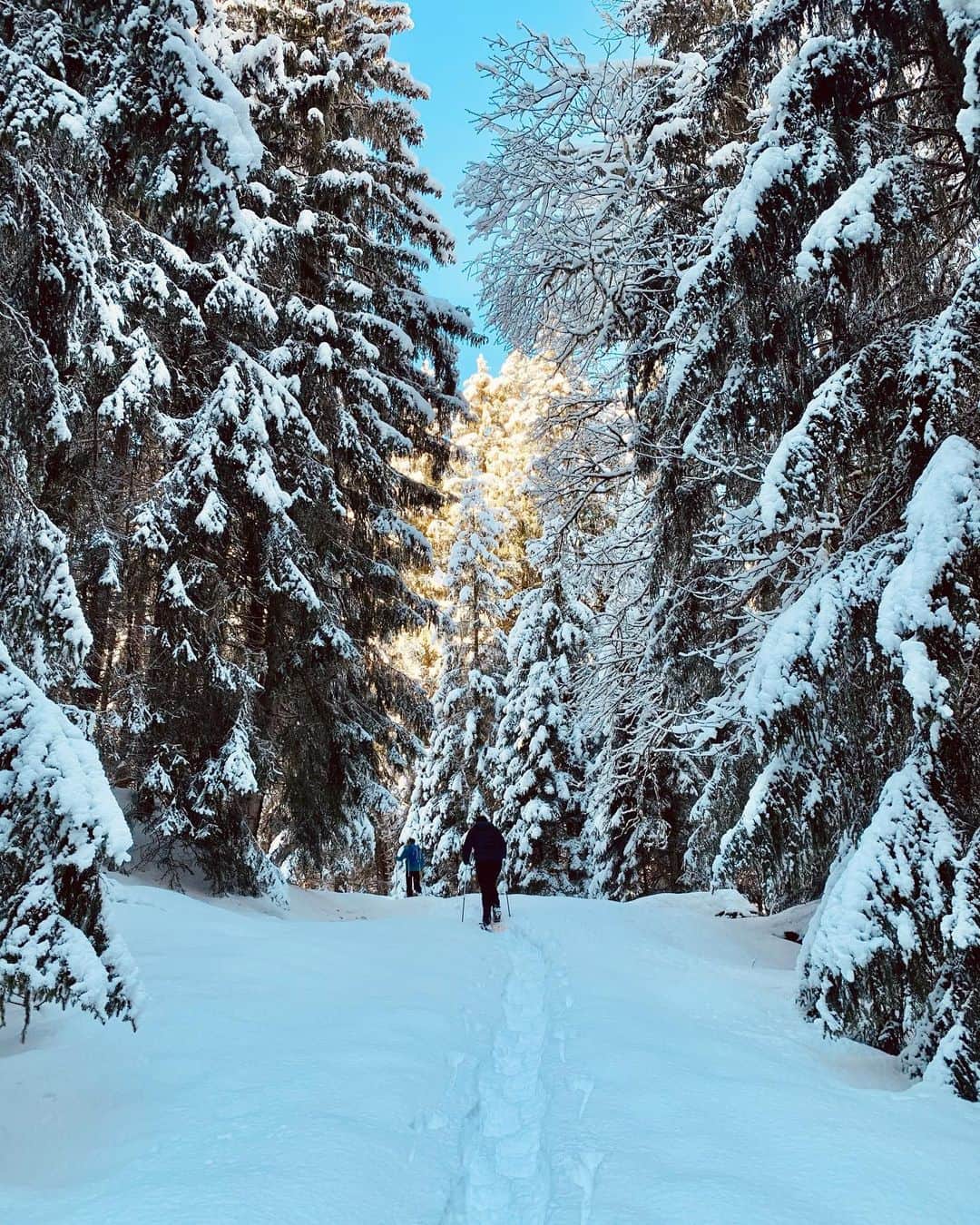 OPHELIEさんのインスタグラム写真 - (OPHELIEInstagram)「Frozen getaway ❄️  20 min from the place I grew up...  What’s your favorite winter destination ?」2月2日 3時46分 - ophelieguillermand