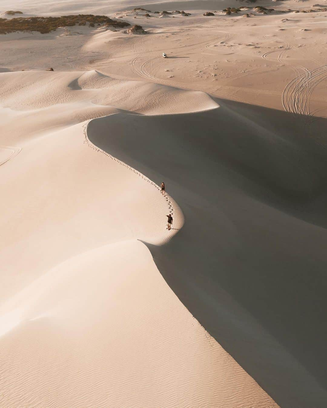 Australiaさんのインスタグラム写真 - (AustraliaInstagram)「What an out-sand-ing shot @_aswewander 👏 You’d be forgiven for thinking you were in the Sahara instead of @southaustralia 🌵 but this incredible desert-like landscape can be found on the @eyrepeninsula where massive, wind-sculpted sand dunes like this are actually quite common. The Gunyah Dunes in #Coffinbay National Park are one of the better-known sandy spots, but towering banks can also be found on the Sleaford Bay coastline in #LincolnNationalPark, Fowlers Bay, and Point Gibbon near Cowell on the east coast. #seeaustralia #SeeSouthAustralia #eyrepeninsula #HolidayHereThisYear」2月2日 4時00分 - australia