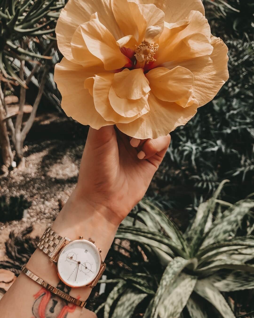 Kapten & Sonさんのインスタグラム写真 - (Kapten & SonInstagram)「Always remember: every day is one step closer to summer! 🌼 We can't wait for sunny days, warm temperatures and summer vibes! 😍 @nikixgilbert wears our watch Chrono Small "Steel". #bekapten #kaptenandson⁠ .⁠ .⁠ .⁠ #watch #chrono #outdoor #outfit #inspo #fashion #fashionlover #style #ootd #dailyinspo #details」2月2日 4時30分 - kaptenandson