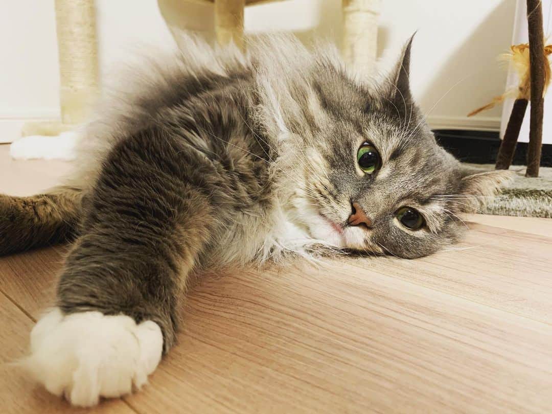 山下まみのインスタグラム