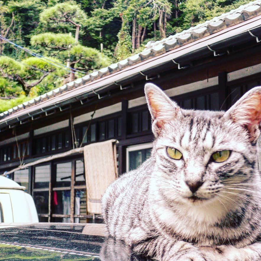 中沢ノブヨシのインスタグラム