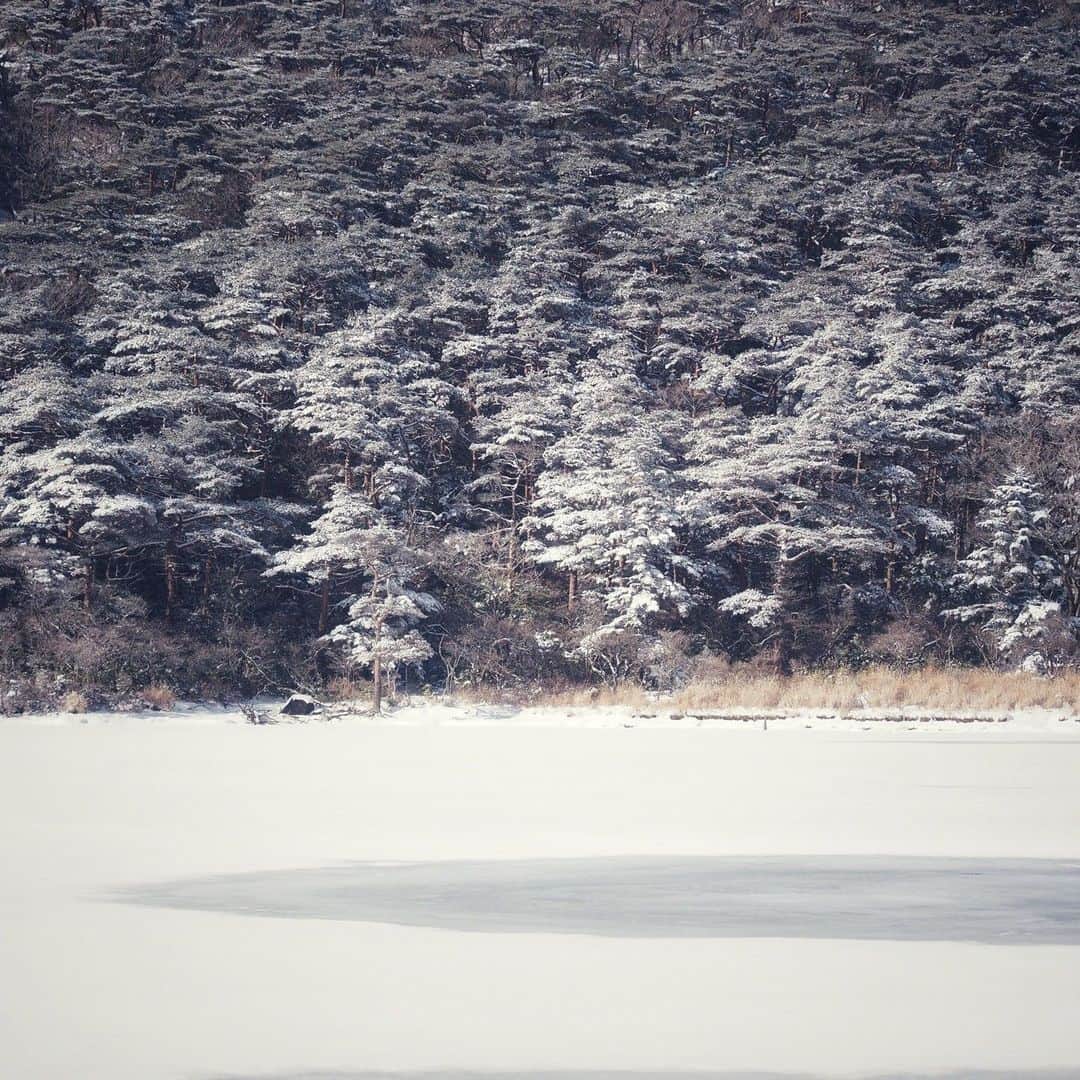 のインスタグラム：「Follow: @nationalpark_japan⠀ Location: Byakushi-Lake Ebino Plateau/えびの高原　白紫池⠀ .⠀ Mt. Kirishima has more than 20 crater lakes formed by volcanic eruptions, and woods gradually cover the old crater walls over a long period of time. The most dominant in the forest is the Japanese red pine. These are evergreen trees, and when it snows, rows of Christmas trees emerge in the woods.⠀ The landscape of the frozen lake and the snow-covered forest is reminiscent of the sceneries of Nordic countries. In Southern Japan Kyushu, this is a very rare view.⠀ .⠀ On our Instagram, we will also share wonderful photos of National Parks of Japan posted on Instagram with the tag #nationalparksjp. We look forward to your participation!⠀ .⠀ #KirishimaKinkowanNationalPark #霧島錦江湾国立公園 #宮崎県 #鹿児島県⠀ .⠀ #NationalPark #nationalparks #nature #findyourpark #instafollow #japan #landscape #landscape_lovers #ourplanetdaily #landscapephotography #hiking #outdoors #traveling #travel #explore #visitjapanjp #日本 #國家公園 #일본 #국립공원 #国立公園」
