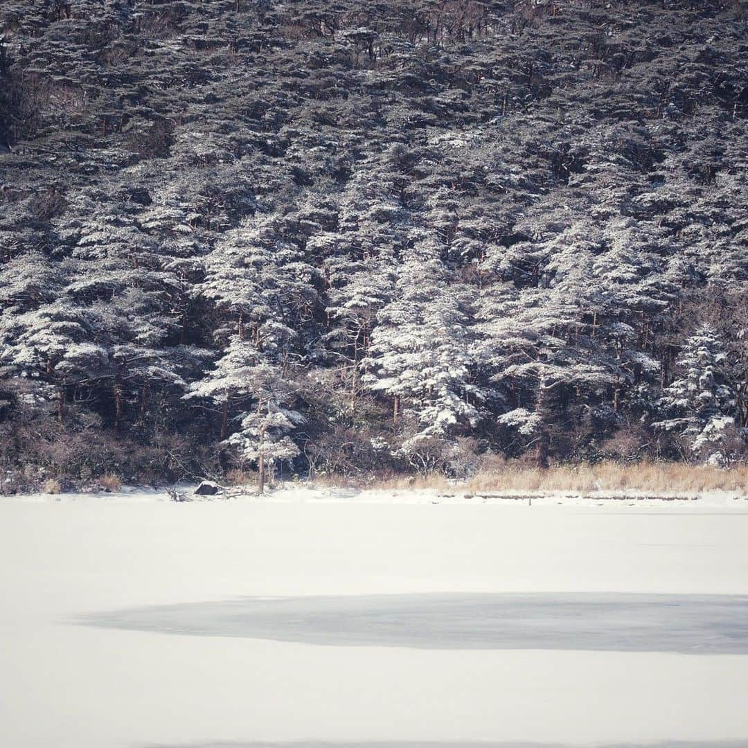 日本の国立公園さんのインスタグラム写真 - (日本の国立公園Instagram)「Follow: @nationalpark_japan⠀ Location: Byakushi-Lake Ebino Plateau/えびの高原　白紫池⠀ .⠀ Mt. Kirishima has more than 20 crater lakes formed by volcanic eruptions, and woods gradually cover the old crater walls over a long period of time. The most dominant in the forest is the Japanese red pine. These are evergreen trees, and when it snows, rows of Christmas trees emerge in the woods.⠀ The landscape of the frozen lake and the snow-covered forest is reminiscent of the sceneries of Nordic countries. In Southern Japan Kyushu, this is a very rare view.⠀ .⠀ On our Instagram, we will also share wonderful photos of National Parks of Japan posted on Instagram with the tag #nationalparksjp. We look forward to your participation!⠀ .⠀ #KirishimaKinkowanNationalPark #霧島錦江湾国立公園 #宮崎県 #鹿児島県⠀ .⠀ #NationalPark #nationalparks #nature #findyourpark #instafollow #japan #landscape #landscape_lovers #ourplanetdaily #landscapephotography #hiking #outdoors #traveling #travel #explore #visitjapanjp #日本 #國家公園 #일본 #국립공원 #国立公園」2月2日 15時00分 - nationalpark_japan