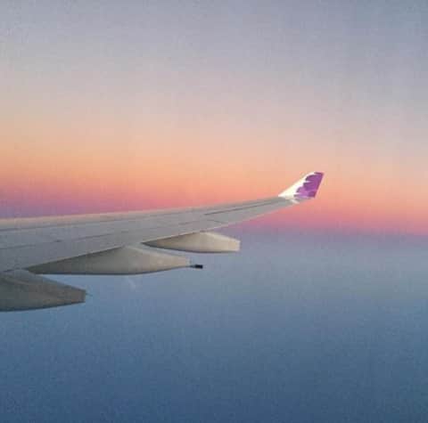 のインスタグラム：「#ハワイアン航空運航 2月の羽田-ホノルル線運休*が確定いたしました。運休に伴う航空券の特別対応についてはハワイアン航空ウェブサイトにてご確認ください。  *2月7日発HA864便、2月5日発HA863便は運航します。  📷: @i_am_cruzer」