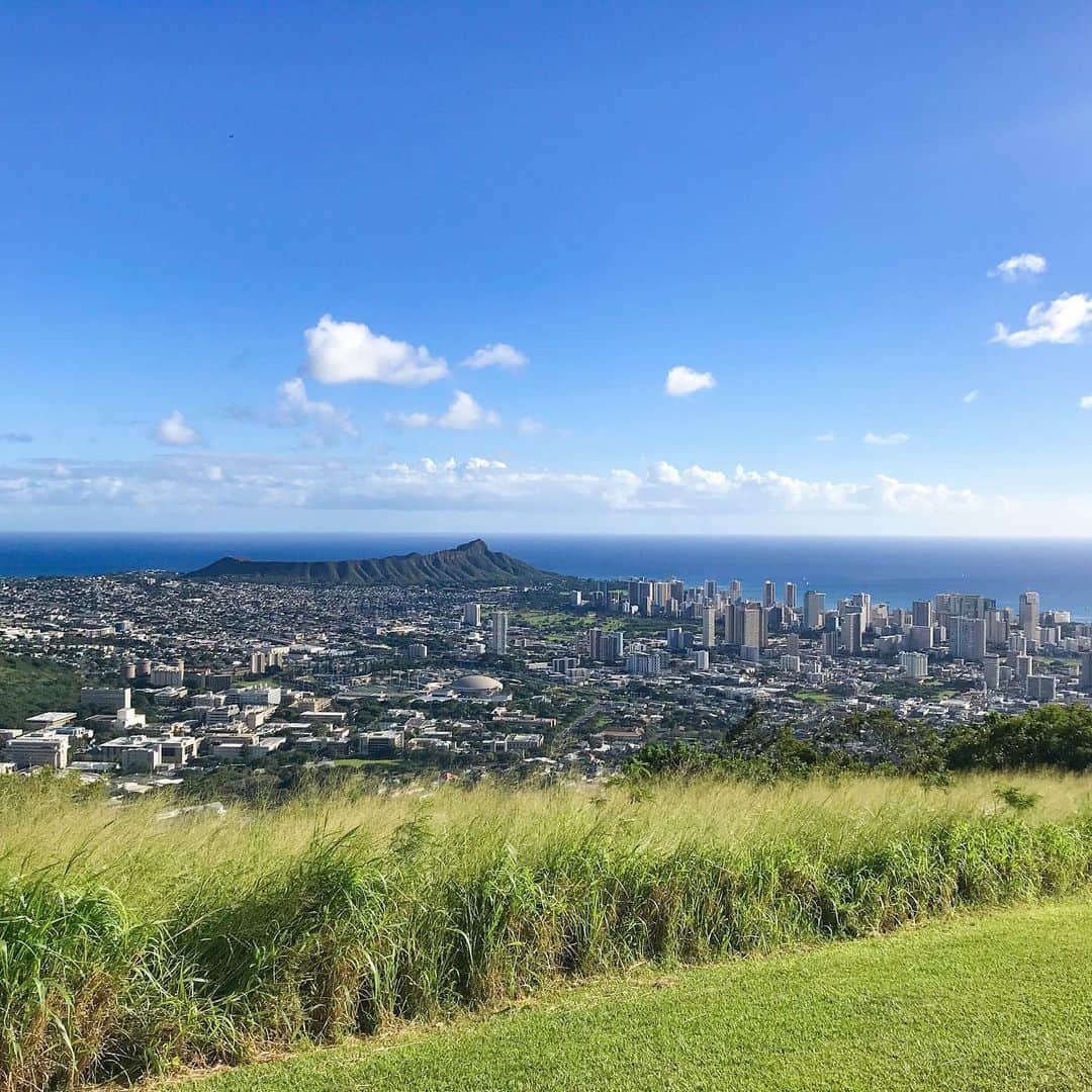 Aloha Street アロハストリートさんのインスタグラム写真 - (Aloha Street アロハストリートInstagram)「すっきりと晴れた日にタンタラスの丘へ。芝生に座ってしばらくまったりしてしまいました。(ユウリ)  #ハワイ」2月2日 15時44分 - alohastreetcom_hawaii