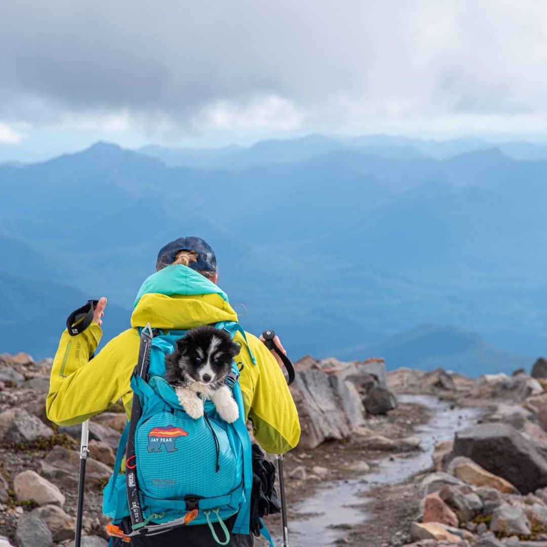 オスプレーのインスタグラム：「A lot can change in 6 months, but some things never do. Kylo has always loved spending time in the mountains, even if his mom still has to carry him down when he gets tired. 📷s by @galinapodolsky with @mountains.soul  Featured pack from the Kamber/Kresta Series #ospreypacks」