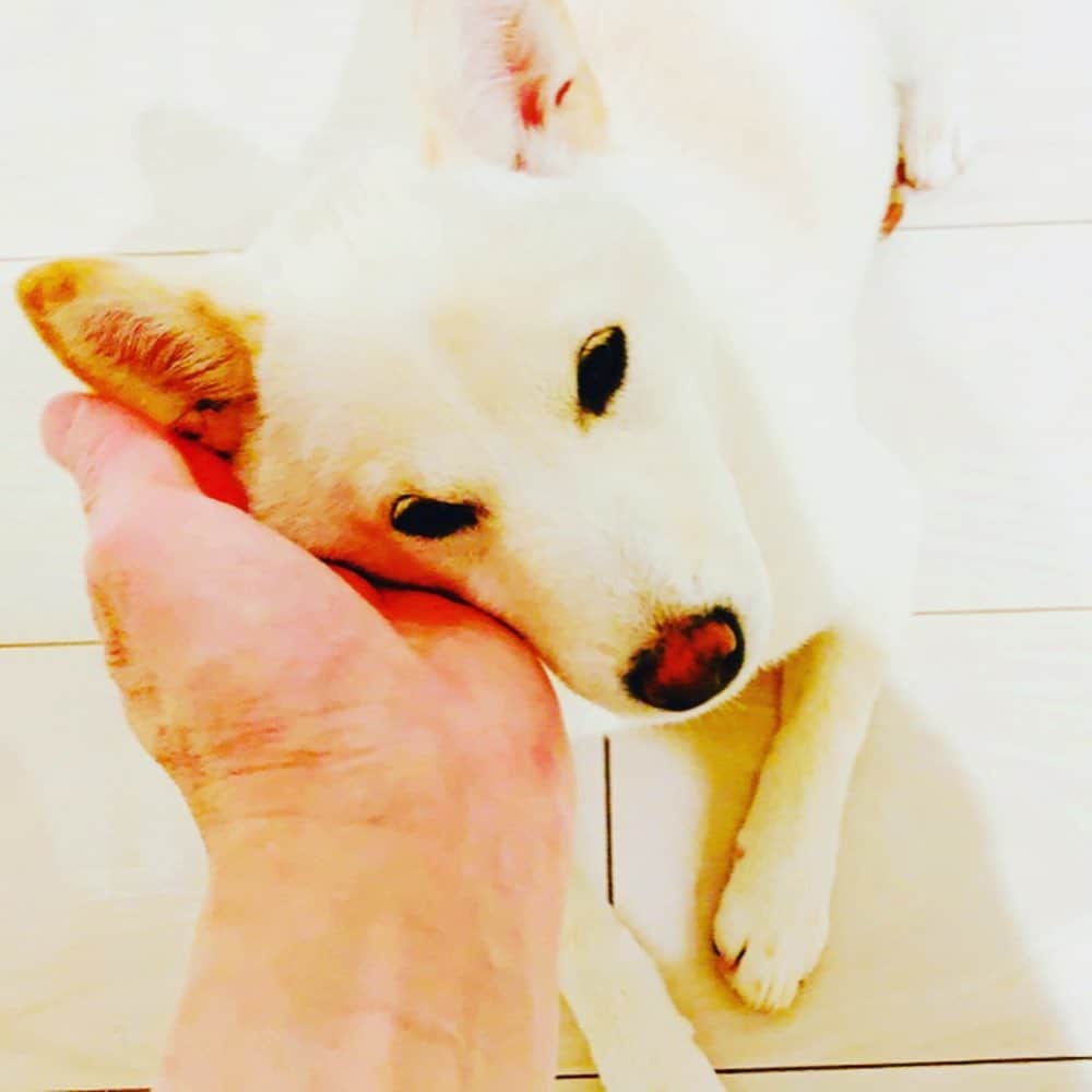 西川進のインスタグラム