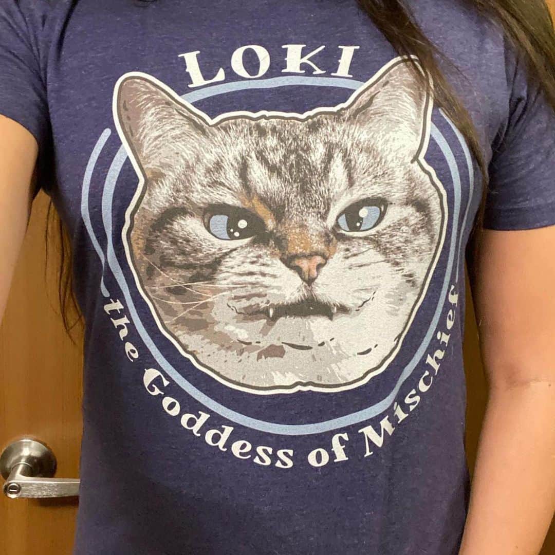 Lokiさんのインスタグラム写真 - (LokiInstagram)「Limited Edition loki apparel available until February 15!  Follow link in bio to check out the different styles and colors 😺 #cats #kitty #cat #catsofinstagram #catsoninstagram #meow #loki #catstagram #catgram」2月2日 7時38分 - loki_kitteh