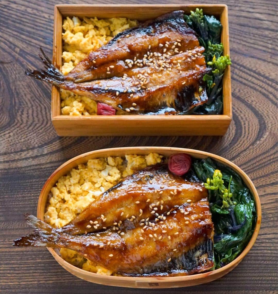 のインスタグラム：「○節分弁当○ ・ 鰯の蒲焼き 炒り卵 紫菜の花山椒オイル和え ・ 茄子のお味噌汁 ・ 節分に恵方巻きを食べる習慣がないので鰯。 大豆のおかずも作ろうと思ってたけど、まぁいいか。 ・ もう年齢分の節分豆を食べるのが辛いの ・ 好きなピスタチオにしちゃう？でもひと袋で足りるかな？ マカデミアだったら死ぬな、、 小豆ならなんとか？ちゃら云々緊急家族会議の結果 納豆で手を打とうと😂 #obento #bento #lunchbox #お弁当 #おべんとう#曲げわっぱ#わっぱ#公長齋小菅 #鰯#鰯の蒲焼き#蒲焼き弁当#節分弁当」
