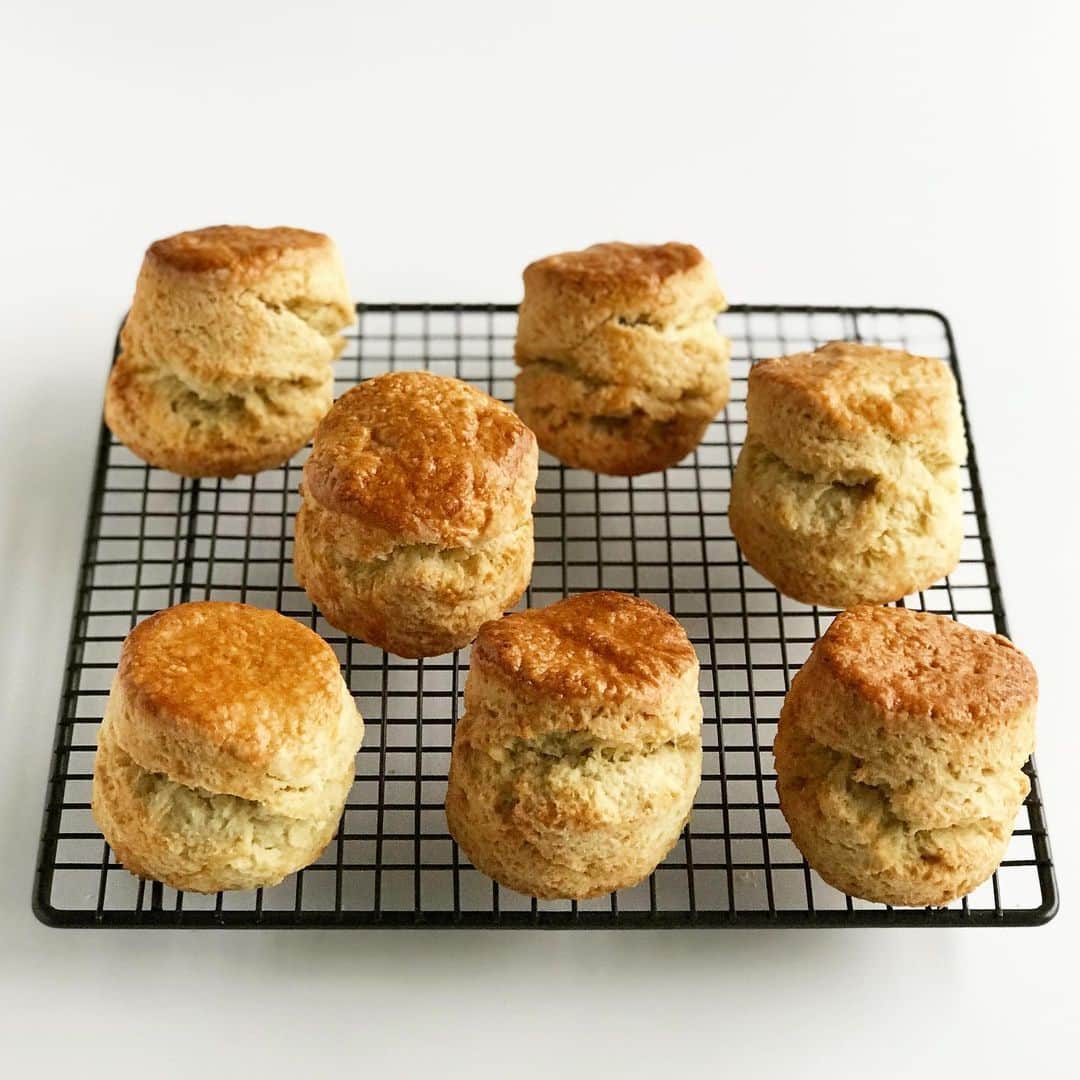 のインスタグラム：「🥚入りの配合で試し焼き 粉の風味と卵の相性が気になったので。  DOVES FARMは、イングランド 🏴󠁧󠁢󠁥󠁮󠁧󠁿バークシャーで1978年創業だそう。 @dovesfarm 🕊農場なのね。  厚さ3cmと厚めにのばしたら わりと大胆に割れました。  なんと @mistletoe_tea さんから 粉が購入出来るようになってた。 いつの間に？ うれしい。  ４枚め以降は 先日🥚なしで、薄く焼いたスコーン。 こちらはコッツウォルズの古い製粉所 SHIPTON MILLの粉。 11世紀の台帳にも記載があるからか パッケージもクラシック。 素描の筆致で、風景画風。  DOVES FARMは、1978年創業だから PUSHPIN STUDIOとか あのあたりに影響を受けてるような。 イラストレーターのタッチ。 どちらのパッケージもよき。  両方とも挽きが粗めで灰分を多く含む 灰色がかっている粉です。  紅茶で流し込むと 口中で絶妙な湿り気を持って なめらかに溶ける。 粉の味がして、おいしい。 🇬🇧🟤🧈🥚☕️🫖🏴󠁧󠁢󠁥󠁮󠁧󠁿 粉が違うと、味わいが変わると実感。 高価ではあるから、普段使いの薄力粉に1/3程度混ぜても。  #昨年秋に三越本店の英国フェアに行けないかわりに伊勢丹の事前予約ネット通販で購入してみた粉 #scones #scone  #dovesfarm」