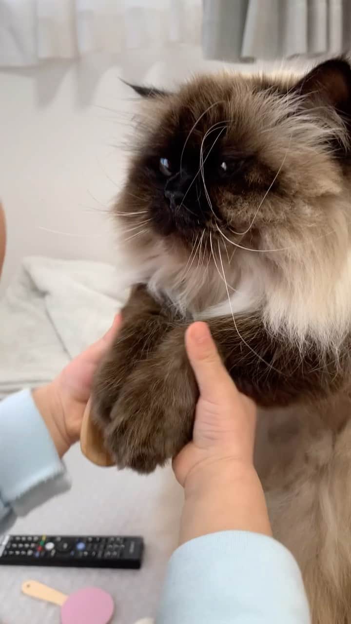 plumeのインスタグラム