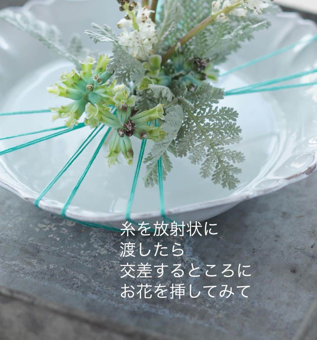 雑誌『花時間』さんのインスタグラム写真 - (雑誌『花時間』Instagram)「おはようございます。水を満たせれば、お皿にも花を飾れます。﻿ ﻿ そして、﻿ すっくと立たせることも﻿ できるんです。﻿ ﻿ 種明かしをするまでも﻿ ありませんよね。﻿ ﻿ 糸を放射状に掛けて﻿ 交差するところに﻿ 茎を差し込むだけ。﻿ ﻿ 水面も生かせて﻿ とてもさわやかな﻿ 花の景色になります。﻿ ﻿ お花の色と糸を﻿ コーデして遊んでみて。  さて、今日は節分で、明日は立春。  昨日、古神道数秘術家の中井耀香さんに @youka81 に伺ったことですが…  風水では、旧正月が立春のあとになる年は 成長することが難しい年とされるそう。 今年の旧正月は2月12日で、 まさに、そういう年にあたります。  そんな年に、 味方になるのは 「つぼみのお花」。  つぼみが開花するエネルギーを もらい受けるって感じ？  ポイントは、 花が開くつぼみを選んで、 旧正月まで、玄関に飾り続けること。  すくすくと成長できる 1年になるそうですよ！  では、本日も元気smile😊😊😊で﻿ 頑張りましょう！ by ピーターパン﻿  花 @石澤佳子 写真 @satomi.ochiai78  #flowers #flowerslovers #flowerstagram #flowerarrangement  #花時間 #花時間2021  #花好き #花藝 #花好きな人と繋がりたい #花が好きな人と繋がりたい #花のある生活 #お花のある暮らし #花を飾る #花を飾る生活  #ラケナリア #おうち時間を楽しむ  #小さな花 #小さな花が好き  #青い花 #ビタミンf #立春  #癒やしの時間  #きれいな花 #花が好き #花屋さんへ行こう」2月2日 9時29分 - hanajikan_magazine