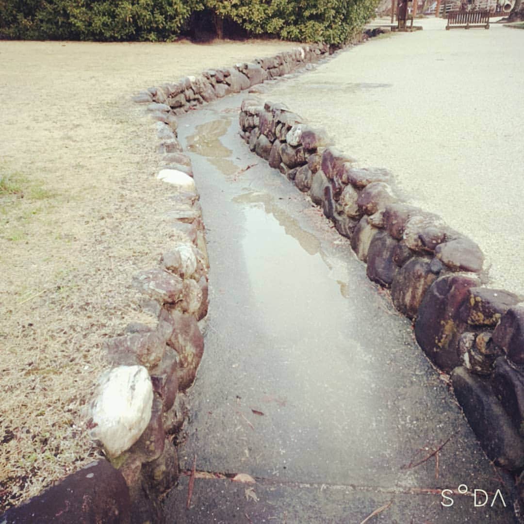 松本隆博のインスタグラム：「。 今日は雨上がりの道後公園。 これはこれでとても風情あり。 2時間歩いた後、撮影会になり ました～(*Ü*)(^-^) ここで一句！  雨上がり… 枝に溜まりた… 雫お千歳…  松本山頭歌」