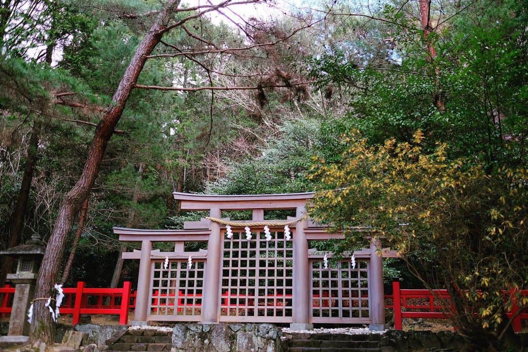 SHOCK EYEさんのインスタグラム写真 - (SHOCK EYEInstagram)「大神神社の摂社、桧原神社⛩ 元伊勢と呼ばれたこの神社、、 大神神社に訪れた際には是非立ち寄ってもらいたい場所。 日本最古の道、山の辺の道を歩くこと２０分。 神秘的な三ツ鳥居は格子で目隠しされ、目を凝らし中を覗いてみると、そこにはどうやら石がある⛩🪨✨ おそらく神様の依り代として祀られているんだけども、、 今までこんな鳥居を見たことはないし、その奥には不思議な石だけが置かれているという、、 パワースポット感満載のその姿に息を呑んだ僕でした🙏✨  The Sessha of Omiwa Shrine,Hibara Shrine. This shrine is called "Moto Ise". This is a place you should stop by when you visit Omiwa Shrine. It takes 20 minutes to walk along Yamanobe no Michi, the oldest road in Japan. The mysterious three-tiered torii gate is blindfolded by a lattice. It's probably enshrined as a symbol of the gods, but... I've never seen a torii gate like this before, and at the back of it, there was only a mysterious stone... I give a delighted gasp at the sight of this power spot 🙏✨.  #jinja #Hibarashrine #Motoise #Nara #powerspot #Omiwashrine  #神社 #檜原神社 #桧原神社 #元伊勢 #奈良 #パワースポット #大神神社」2月2日 9時59分 - shockeye_official