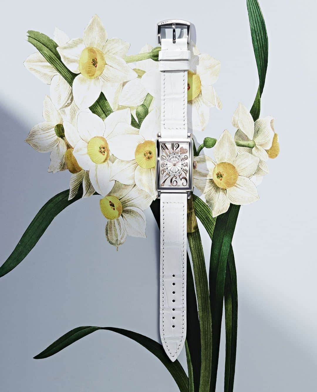 FRANCK MULLER JAPANのインスタグラム