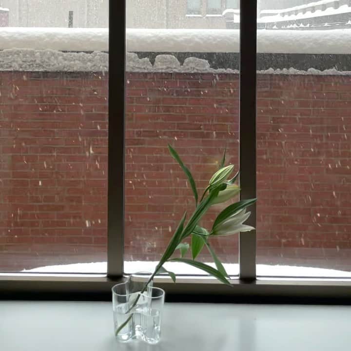 大塚良子のインスタグラム：「❄️💐#alvaraalto #iitala #flowervase  . . #snowday #stayhome #homedecor  #interior #interiordesign #チェルシーの暮らし」