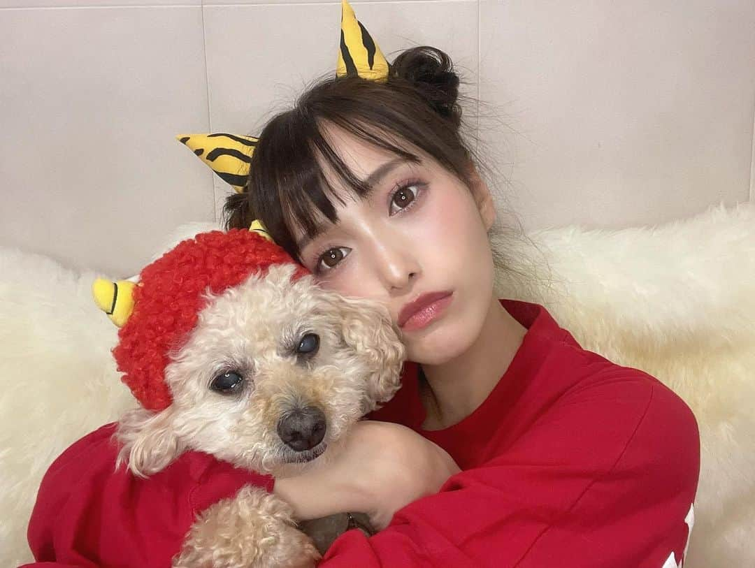 引地裕美さんのインスタグラム写真 - (引地裕美Instagram)「2021年の節分は今日なんだって👹🥜  今年は丑年できなかったから鬼してみた🐶 鬼になっても可愛すぎるうちの子🥺💕💕💕💕💕  #引地裕美 #モデル #rq #レースクイーン #얼스타그램 #照片 #粉我  #犬のいる暮らし #ゆうみ服 #패션스타그램 #데일리코디 #패션 #时装 #角色扮演  #トイプー #トイプードル  #節分 #鬼コスプレ 👹」2月2日 10時50分 - yuumihikichi