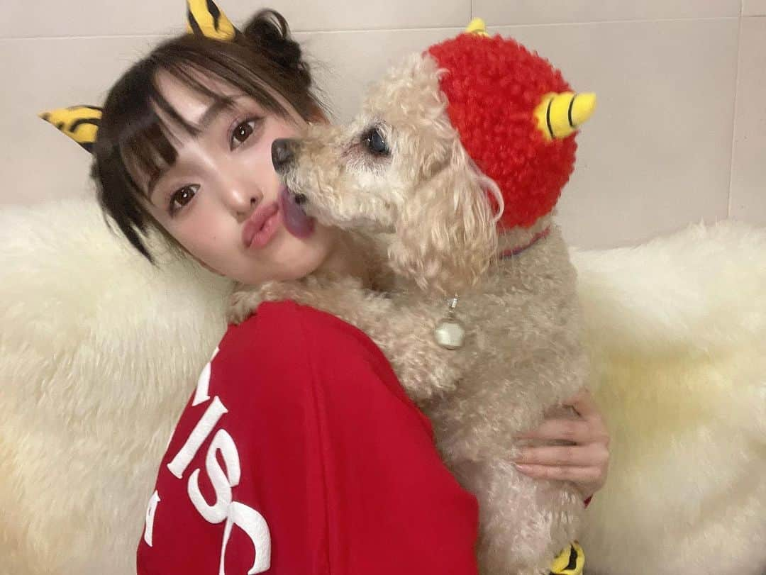 引地裕美さんのインスタグラム写真 - (引地裕美Instagram)「2021年の節分は今日なんだって👹🥜  今年は丑年できなかったから鬼してみた🐶 鬼になっても可愛すぎるうちの子🥺💕💕💕💕💕  #引地裕美 #モデル #rq #レースクイーン #얼스타그램 #照片 #粉我  #犬のいる暮らし #ゆうみ服 #패션스타그램 #데일리코디 #패션 #时装 #角色扮演  #トイプー #トイプードル  #節分 #鬼コスプレ 👹」2月2日 10時50分 - yuumihikichi