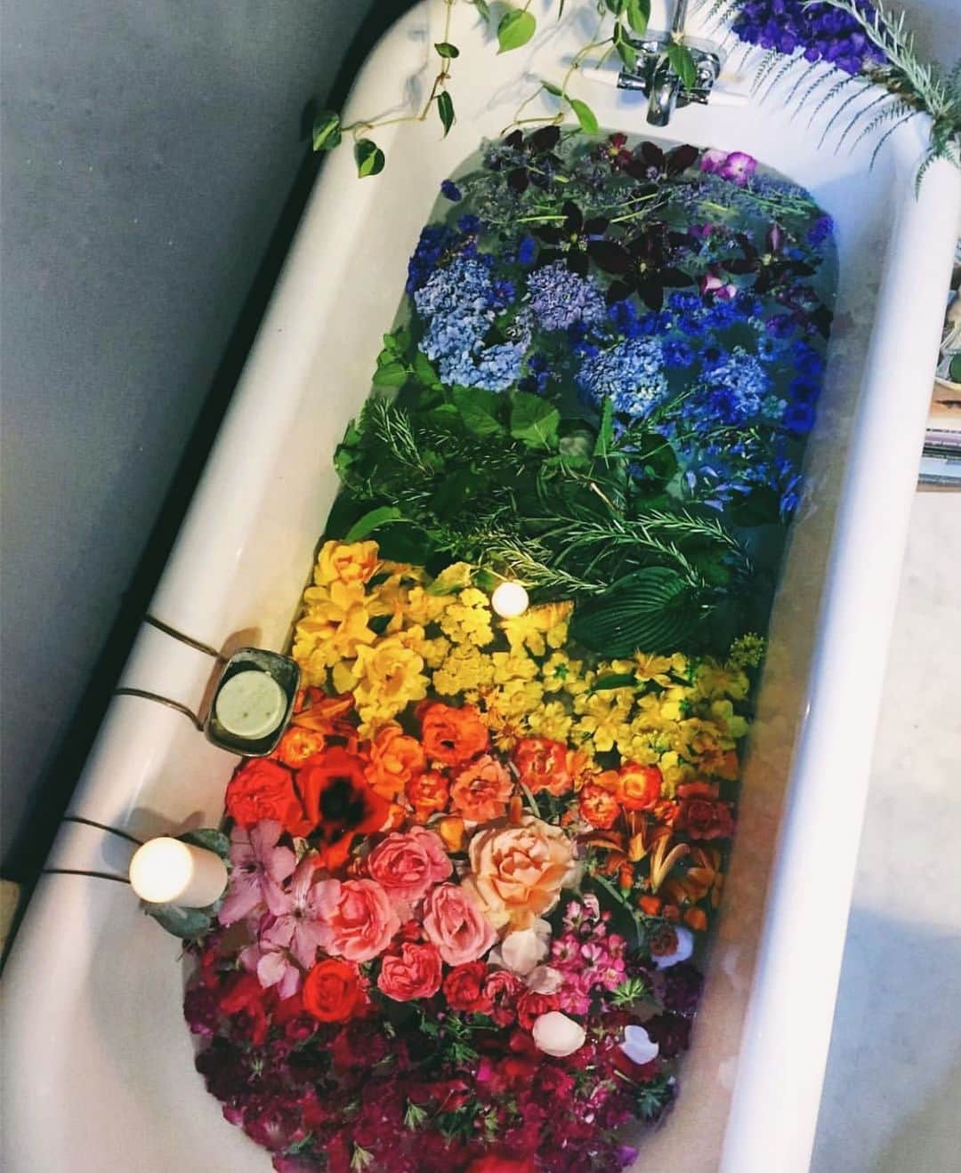 ダニジョーのインスタグラム：「You’ll find us here 🛁」