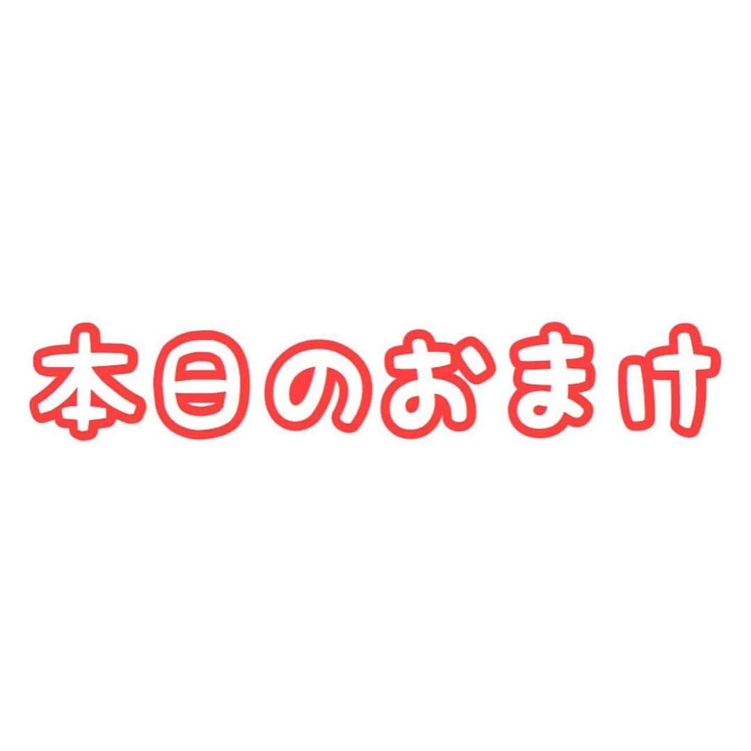 セロリさんのインスタグラム写真 - (セロリInstagram)「【124年ぶり】 今年の節分は、124年ぶりに本日2月2日なんだそうです。 今年の「恵方」は南南東だそうですよ。 皆さん、恵方巻きをガブッと食べてくださいね。 #maltese #マルチーズ #節分 #赤鬼 #青鬼 #チームいくら #malteseofinstagram #maltese101 #malteser #malteseofficial #maltesedog #dog #instadog #dogstagram #dogoftheday #doglovers #instapet #adorable #ilovemydog  #ペット #わんこ #ふわもこ部 #犬のいる暮らし #いぬら部  #いぬすたぐらむ #イッヌ」2月2日 11時22分 - celeryrabbit