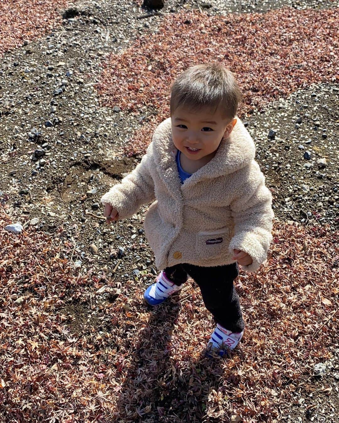 Momoeのインスタグラム：「葉っぱ１枚でも 遊ぶものになるって素敵🍁  . .  #happy #家事 #育児 #family #家族 #boy #smile #男の子 #息子 #code #love #lucky #kids #子供 #thankyou #宝物 #ベビー #fashion #follow #パパ #ママ #家族写真 #男の子ママ #1歳 #うさぎ #ネザーランドドワーフ」