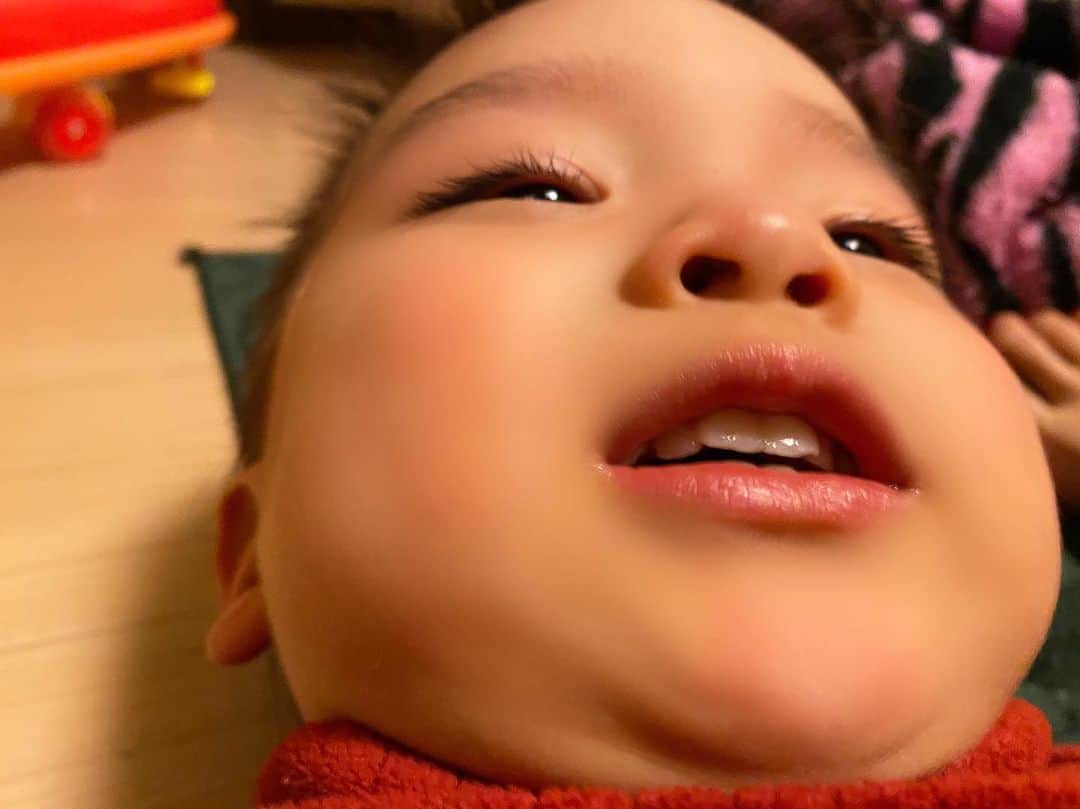 Momoeのインスタグラム：「まんじゅうの一種？  . .  #happy #家事 #育児 #family #家族 #boy #smile #男の子 #息子 #code #love #lucky #kids #子供 #thankyou #宝物 #ベビー #fashion #follow #パパ #ママ #家族写真 #男の子ママ #1歳 #うさぎ #ネザーランドドワーフ」