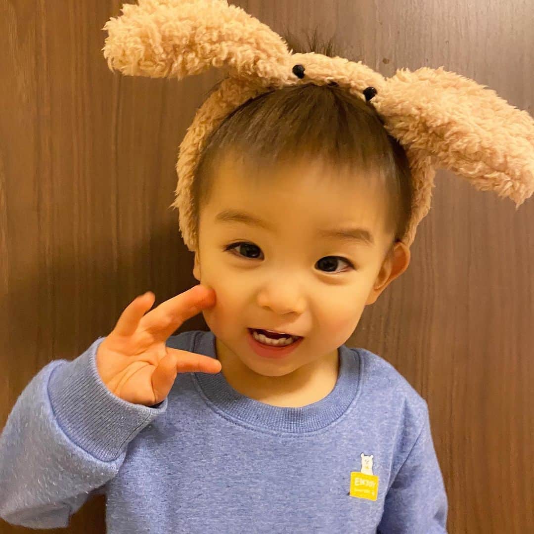 Momoeのインスタグラム：「わんころイベントで 1ヶ月間お世話になった犬耳🐕🐾  . .  #happy #家事 #育児 #family #家族 #boy #smile #男の子 #息子 #code #love #lucky #kids #子供 #thankyou #宝物 #ベビー #fashion #follow #パパ #ママ #家族写真 #男の子ママ #1歳 #うさぎ #ネザーランドドワーフ」