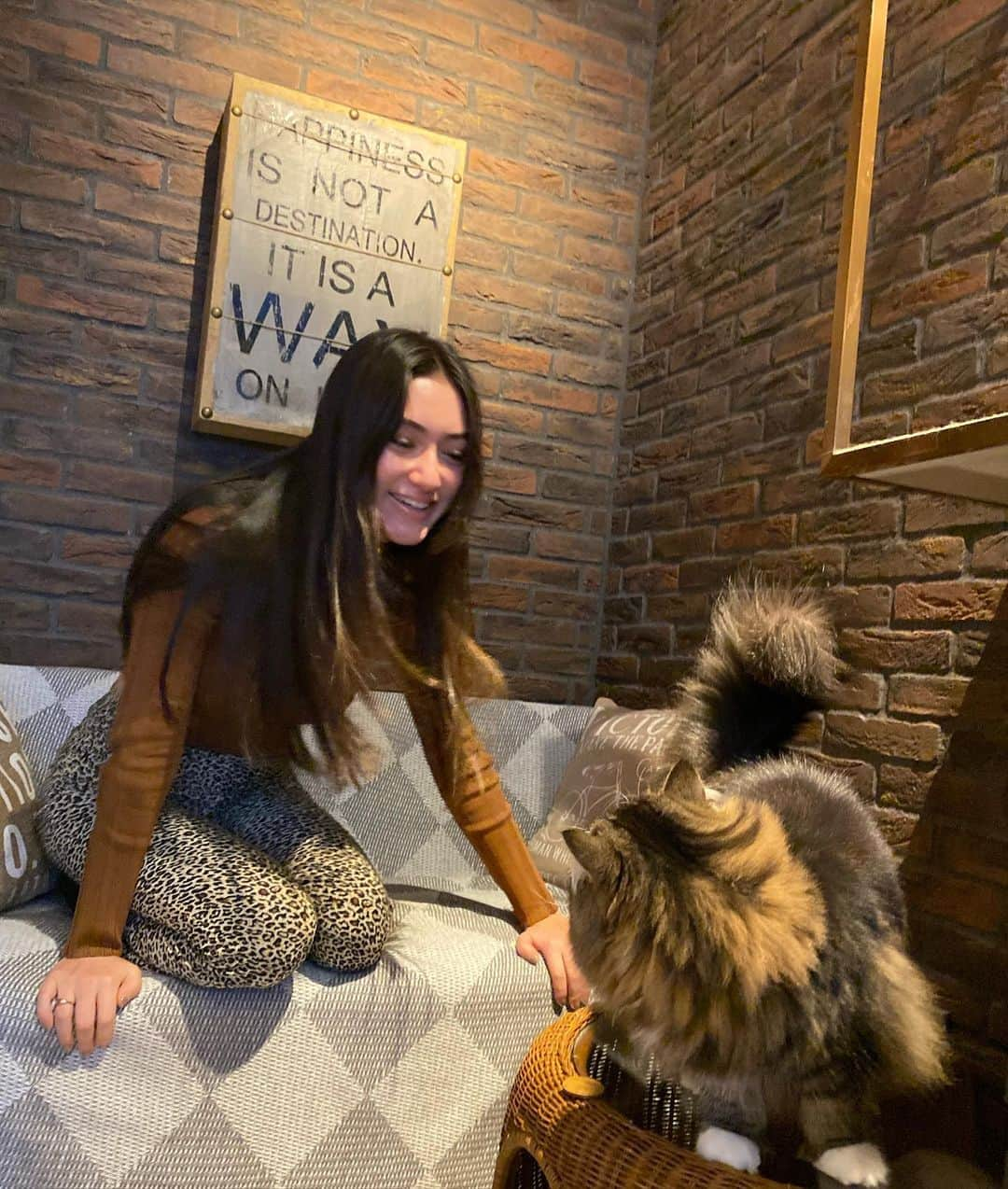 あんなさんのインスタグラム写真 - (あんなInstagram)「猫と私😽 i love cats!!!🤎」2月2日 11時55分 - annaayaofficial