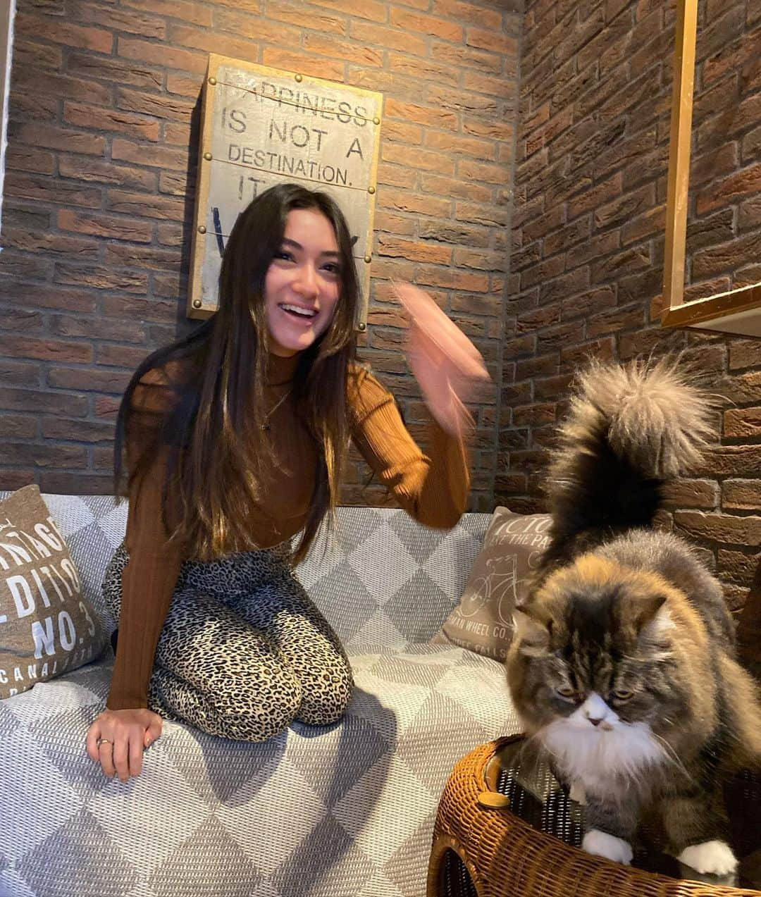 あんなさんのインスタグラム写真 - (あんなInstagram)「猫と私😽 i love cats!!!🤎」2月2日 11時55分 - annaayaofficial