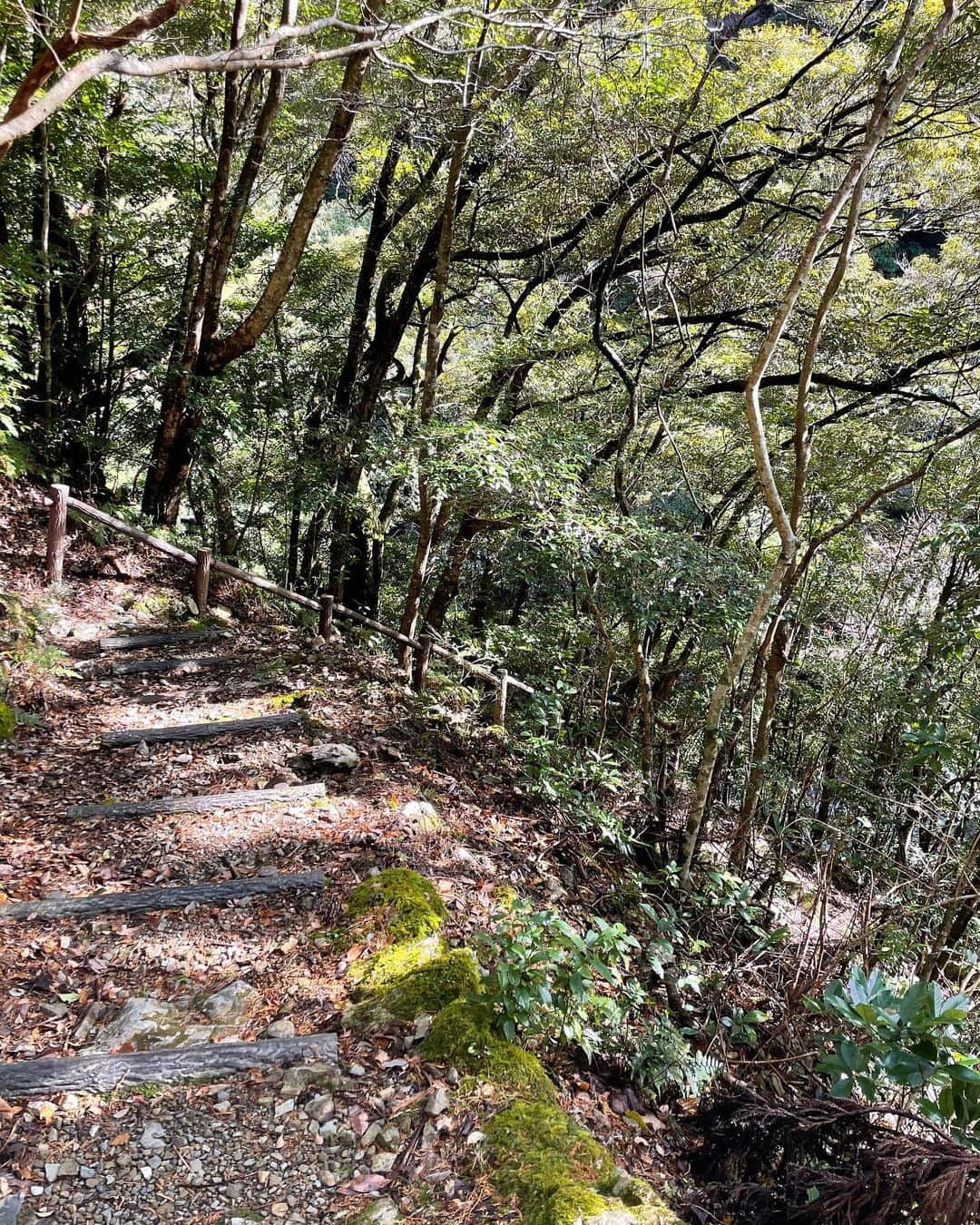 石井里奈さんのインスタグラム写真 - (石井里奈Instagram)「こんにちは☀️ . 今日も和歌山県すさみ町編🥰❤️ すさみの八景の一つの雫の滝✨💧 . すさみ川の本流にかかる高さ約30メートルの美しい二段の滝💗 晴天で太陽の光が映えてとっても綺麗で見応えのある素晴らしい滝でした🧡 マイナスイオン沢山補給できてよかったなぁ🥺✨ . ダウンジャケットは @jottjapan の🥰 ベストが良かったので今度はロングダウンを💗本当軽くて暖かくて高機能✨ 小さくなって持ち運びも楽なので旅行の時とか便利❗️ . 午後も頑張っていきましょう❣️ . #すさみ町 #雫の滝 #滝 #waterfall #和歌山県 #和歌山 #和歌山観光 #和歌山旅行 #白浜 #白浜旅行 #山ガール #登山 #登山女子 #mountain #山 #マイナスイオン #ダウン #ダウンコート #climbing #jott #自然 #リフレッシュ #絶景 #japaneseview #visitjapanjp #wakayama #サーフィン #ダイビング #自然体験 #surfing」2月2日 12時10分 - ri7tin1025