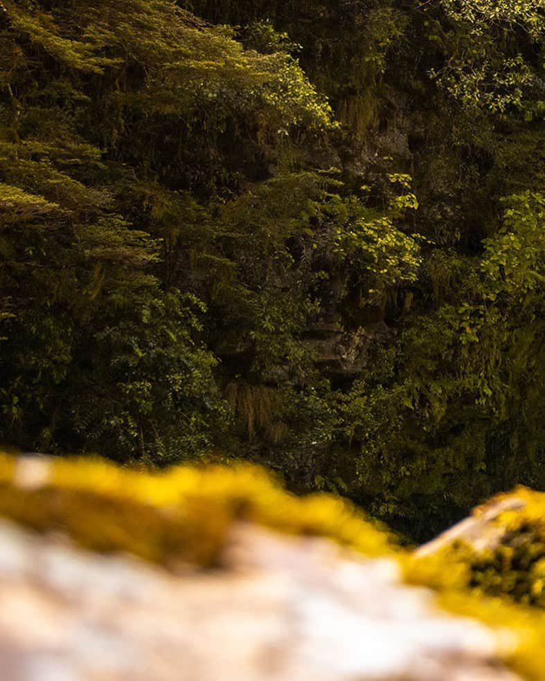 マイケル・ドーソンのインスタグラム：「Pic from @georgesnook_ & @zack_mutton  on the 70ft’er Tauranga Taupo drop a few weeks back - Full shot in profile.   #waterfall #taurangataupo #travelmore #adventure #kayak #whitewater #nz #nzl #nzmustdo」