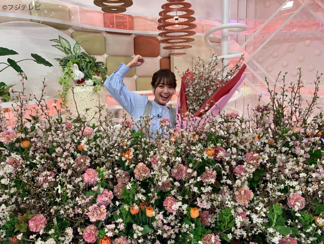 フジテレビ「めざましテレビ」さんのインスタグラム写真 - (フジテレビ「めざましテレビ」Instagram)「. きょうのお花は… 山形県産の冬に咲く桜「啓翁桜」🌸 この時期に桜の花を見られるのは 受験生にとっても縁起が良いね😊 #めざましテレビ  #酒主義久 #井上清華」2月2日 12時38分 - mezamashi.tv