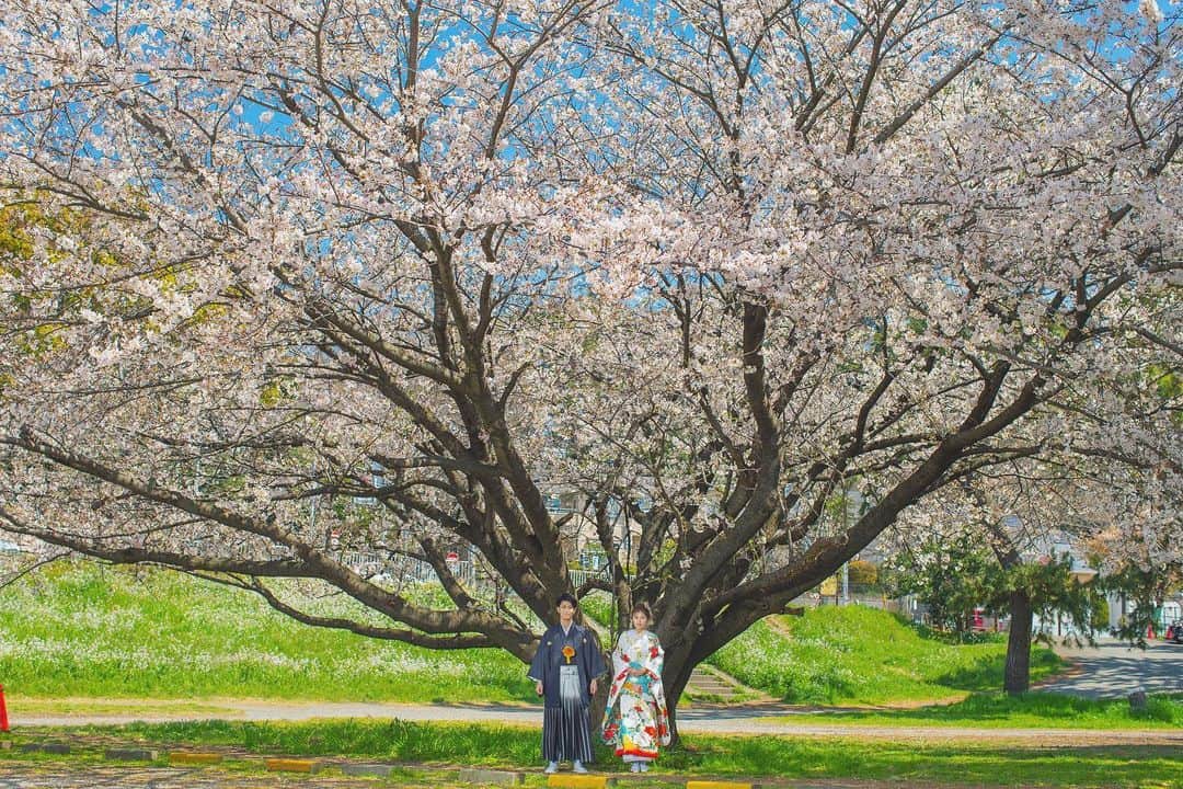 CLAIREのインスタグラム：「桜ロケーション、たくさんのお問い合わせ頂いてます🌸 ・ @clairebridalstudio」