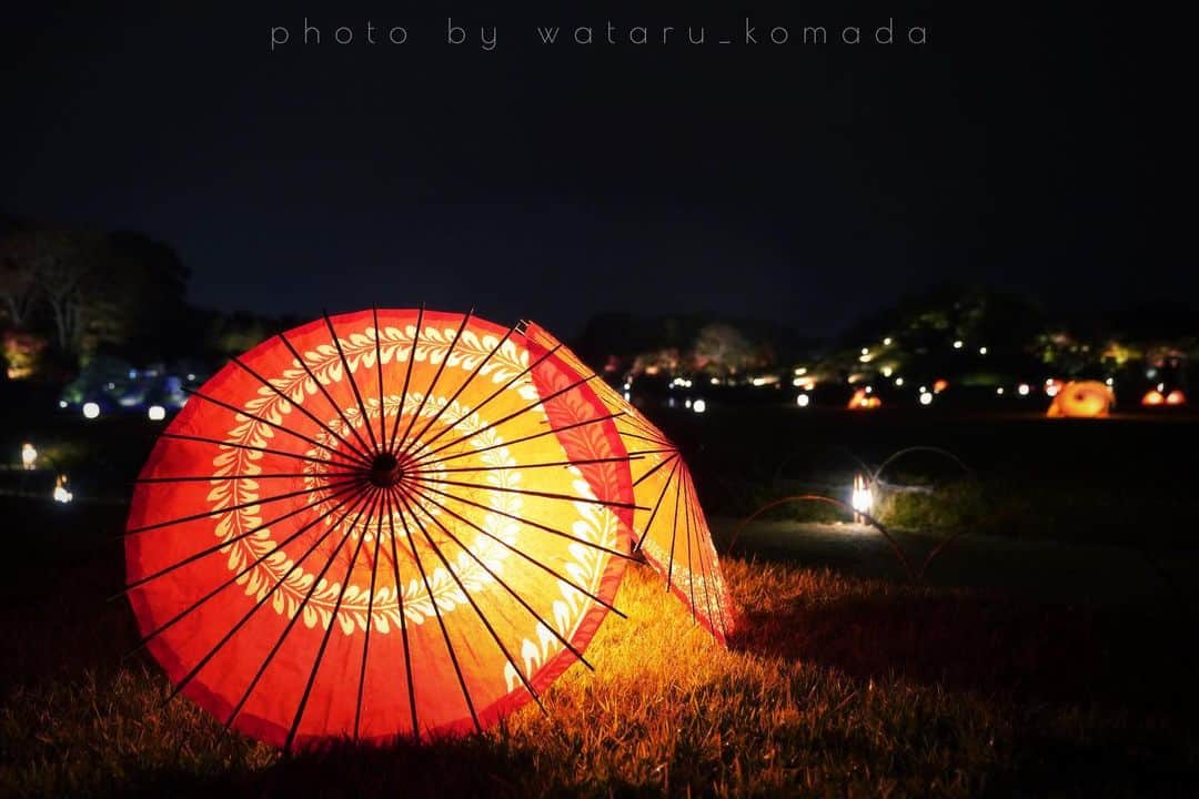 駒田航のインスタグラム：「Bangasa. Red side.  #photo #photographer #sony #sonyalpha7riv #instapic #instaphoto #night #light #landscape #japanese #umbrella #japan #red」