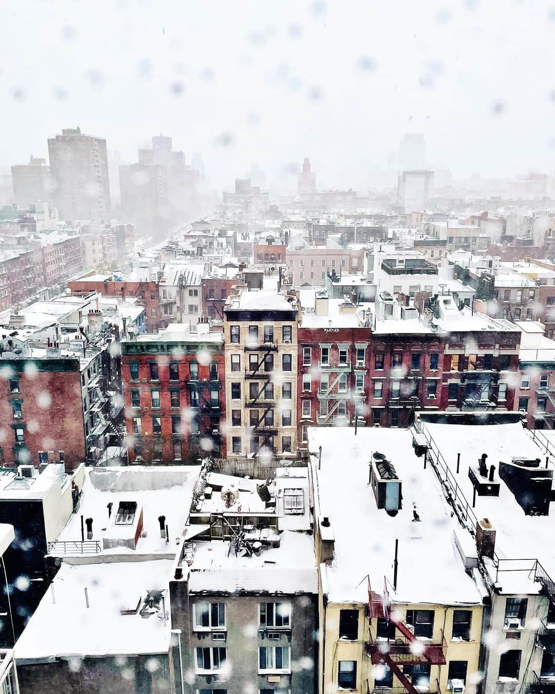 Ilana Wilesのインスタグラム：「This was my view today. ❄️❄️❄️」