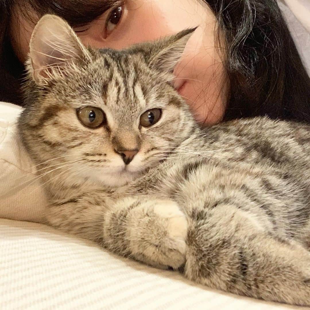 soy kimのインスタグラム：「축구왕 김마고  리버풀 가자  마네 마고」
