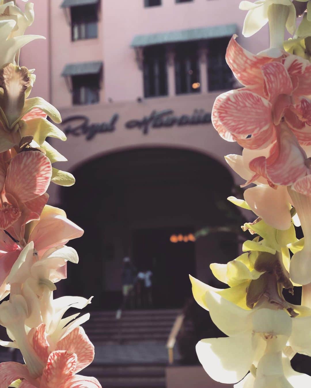 エミ ペインのインスタグラム：「Happy 94th Birthday,﻿ ﻿ Royal Hawaiian Hotel🎂﻿ ﻿ ﻿ ﻿ 1927年2月1日は﻿ ﻿ ロイヤルハワイアンホテルが﻿ ﻿ オープンした日だそうです✨﻿ ﻿ ﻿ ﻿ （さっきハワイのスタッフの﻿ ﻿ ミナさんのインスタで知った🤭﻿） ﻿ ﻿ もうすぐ100年になる建物ですが﻿ ﻿ いつ見てもため息の出る美しさ♥️﻿ ﻿ ﻿ そして100年後も200年後も﻿ ﻿ 変わらず美しいと思う﻿ ﻿ ﻿ 小さなお店でも、そんな素敵な場所に﻿ ﻿ 自分のお店があるという事が私の誇り💗﻿ ﻿ ﻿ ﻿ ﻿ ﻿ さ…がんばろっと💪🏼☺️﻿ ﻿ ﻿ ﻿ ﻿ #みんながんばろう﻿ #がんばれハワイ ﻿ #royalhawaiianhotel」