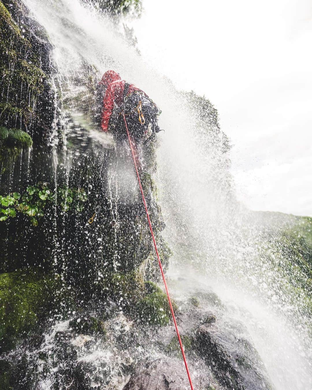 平山ユージさんのインスタグラム写真 - (平山ユージInstagram)「I’m crimping on moss during our Sawanobori Japan expedition 🇯🇵 One of expedition (but it was in Japan 3 hour from my home 🤣) that open my eyes much widely. Is it wet?? Ohh yes it’s climb able 😆😆😆  苔をカチ持ち、、、沢登りジャパンは自分の視野をおーきく広げてくれた遠征、日本だけど😅  濡れてる？　全然大丈夫、登れるよ🤣🤣  @thenorthfacejp  @thenorthface  @onceuponaclimb  @honngy  @saruzaemon9  @pietro_porro   #sawanoborijapan #japan #toyama #badcondition #but #stillclimbable #neverstopexproling」2月2日 23時58分 - yuji_hirayama_stonerider