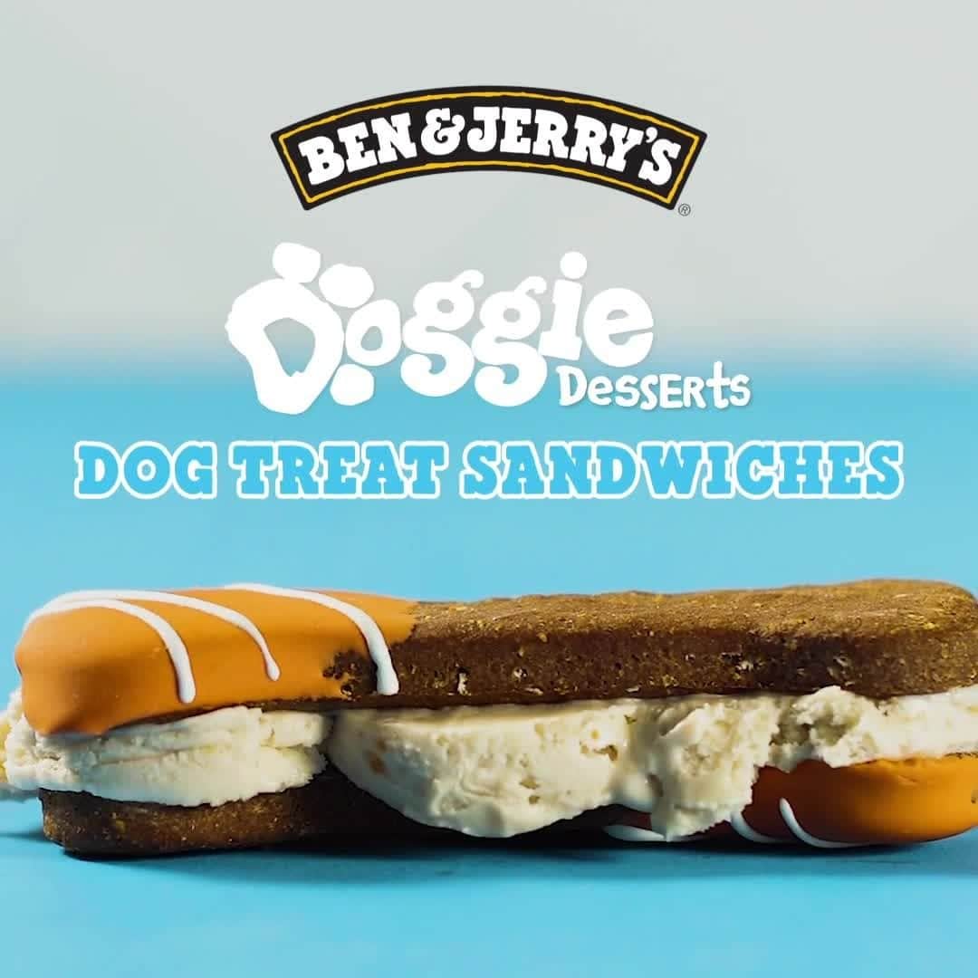 Ben & Jerry'sのインスタグラム：「Tomorrow is #NationalDoggyDateNight! Woo your pooch with the ultimate pup-friendly treat featuring @andysdandysvt dog biscuits. Link in bio!⁠ ⁠ Can't get enough doggos and pupperoos? Follow @benandjerrysfordogs for more happy pups!⁠ ⁠ #doggiedesserts #dogsofinstagram #dogstagram #andysdandys」