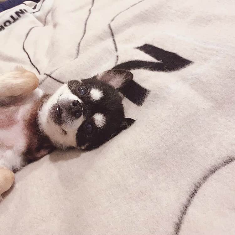 RUKI のインスタグラム
