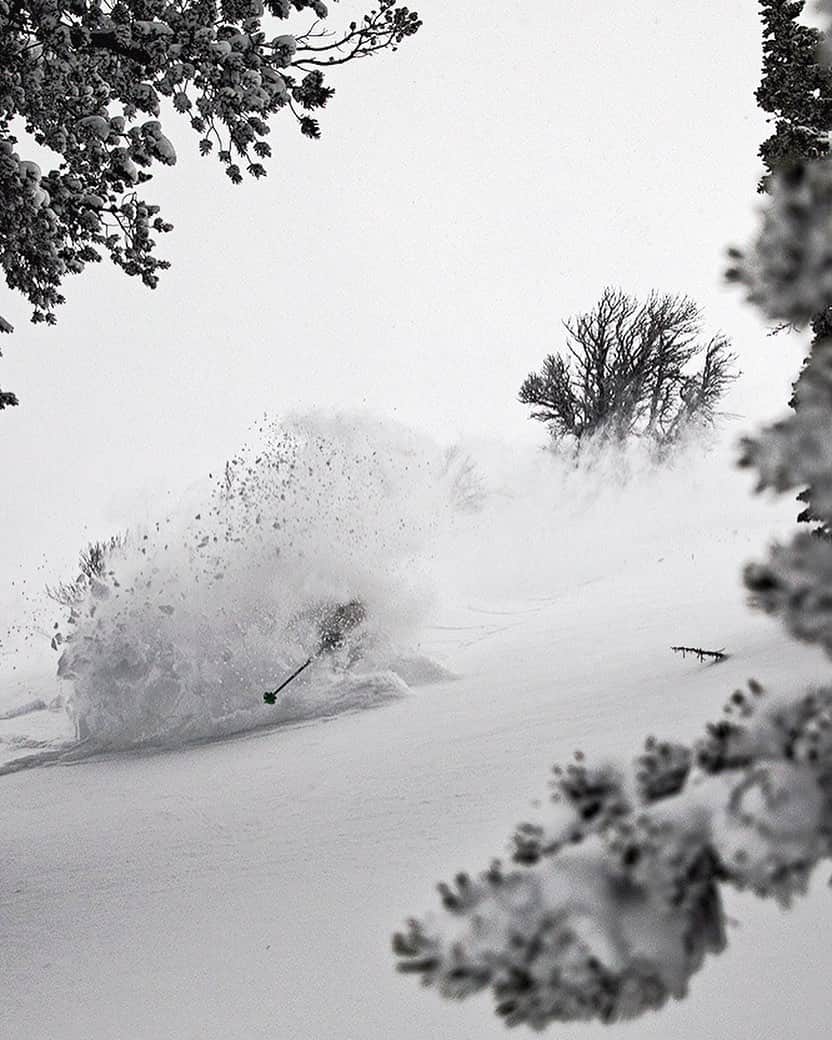 ジミー・チンのインスタグラム：「I don’t always see where I’m going to get what I want. #lowvis #highstoke  @thenorthface @yeti @jacksonhole  📷 by @chrisfigenshau」