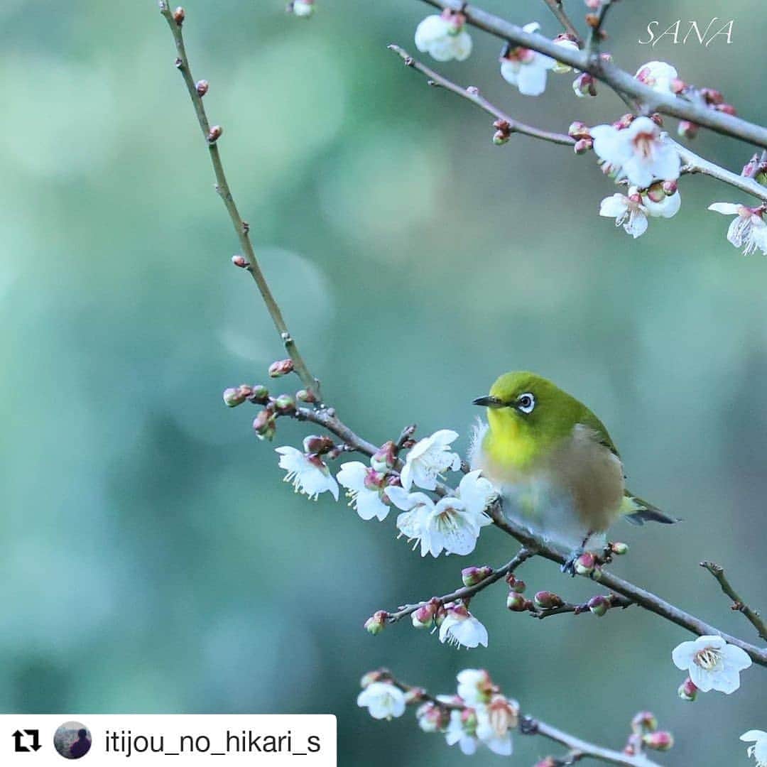 西条市のインスタグラム