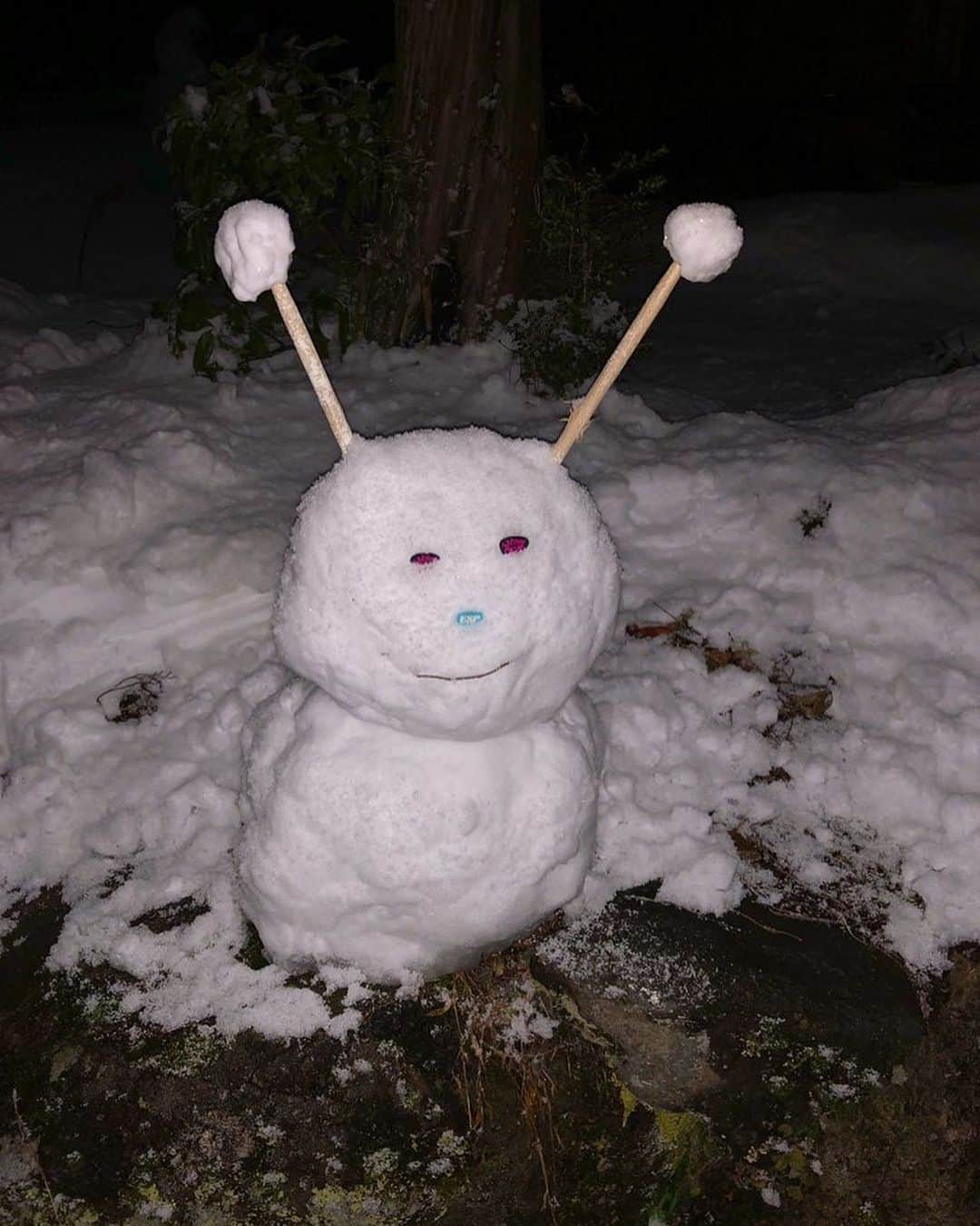トキさんのインスタグラム写真 - (トキInstagram)「インスタ映えな雪だるま⛄️ 作ったのにインスタに投稿するの忘れとった！ 目はトキピック 鼻はESPピック 耳はドラムスティック🥁 めっちゃかわいいと思ったらいいねしてね(*☻-☻*)！💖 #雪だるま　#snowman」2月2日 16時32分 - aldioustoki