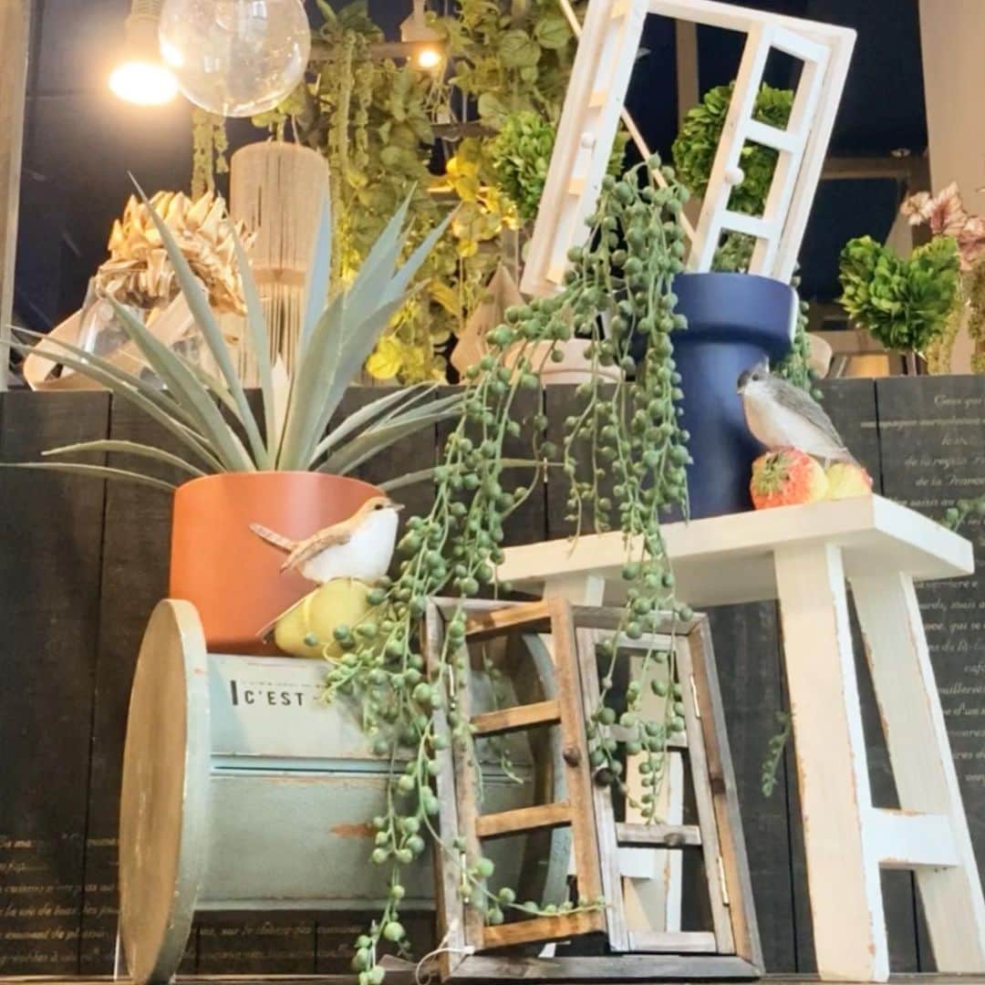 横浜ディスプレイミュージアムのインスタグラム：「＼最後にメイキング動画付き／ 🦜ワンポイントディスプレイ🦜  横浜ディスプレイミュージアム1階より春のガーデンディスプレイをご紹介いたします。  可愛らしい二羽の小鳥が庭で休憩しているイメージでディスプレイしてみました。  スツールやライザーを使って、高さを出すのがポイントです。  フルーツバード YNG11114 上代：￥1,003（税込）  ミニウィンドウフレーム　ホワイト RPO40966  上代：￥1,210（税込）  ミニウィンドウフレーム　ブラウン RPO41131  上代：￥1,210（税込）  ディスプレイミュージアム #株式会社ポピー #横浜 #ディスプレイ#アーティフィシャルフラワー #フラワーアレンジメント #フラワーデザイン #インテリア雑貨 #インテリア#インテリアコーディネート#スタイリスト#装飾#デコレーション #花のある暮らし #花好きな人と繋がりたい #display #yokohama #flowerarrangement #interiordesign #artficialflower #flowerstagram」