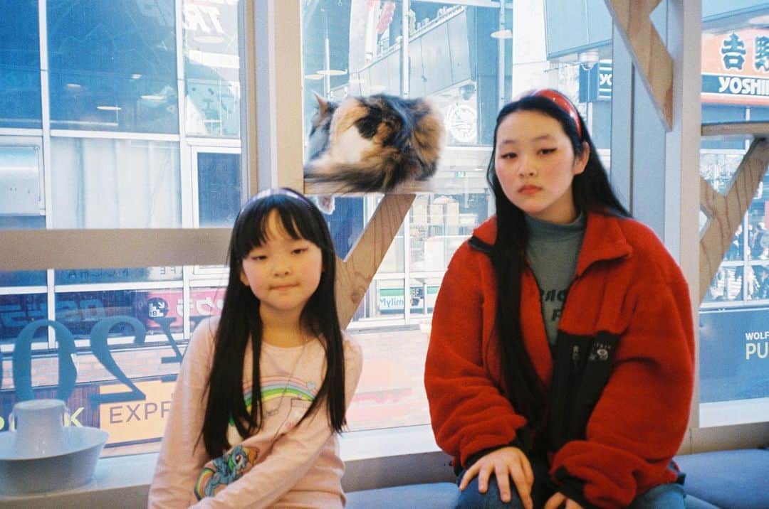 のインスタグラム：「Cat's sisters  🐱🐱」